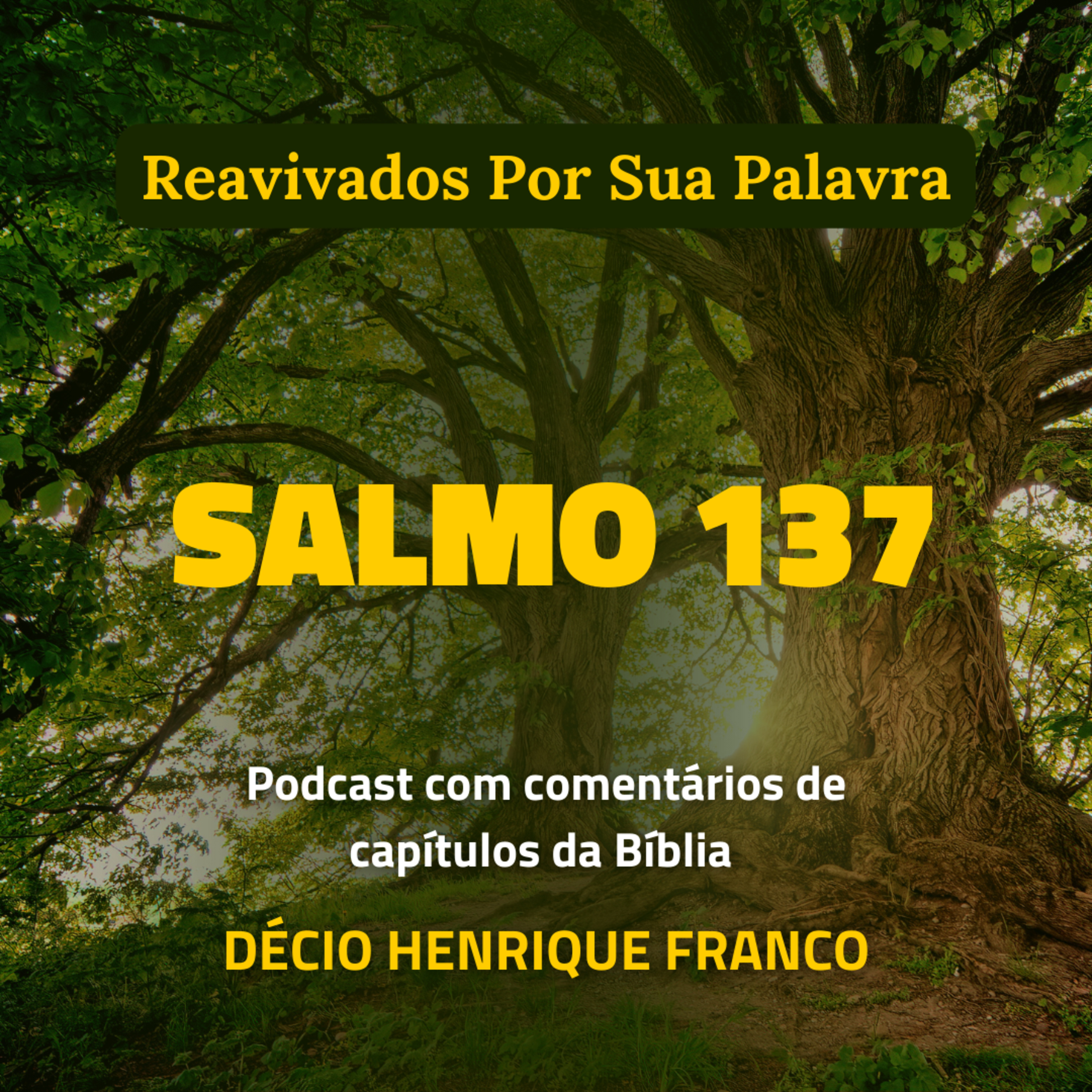Salmo 137 Reavivados Por Sua Palavra #rpsp Podcast com comentários de capítulos da Bíblia. Décio Henrique Franco episode artwork