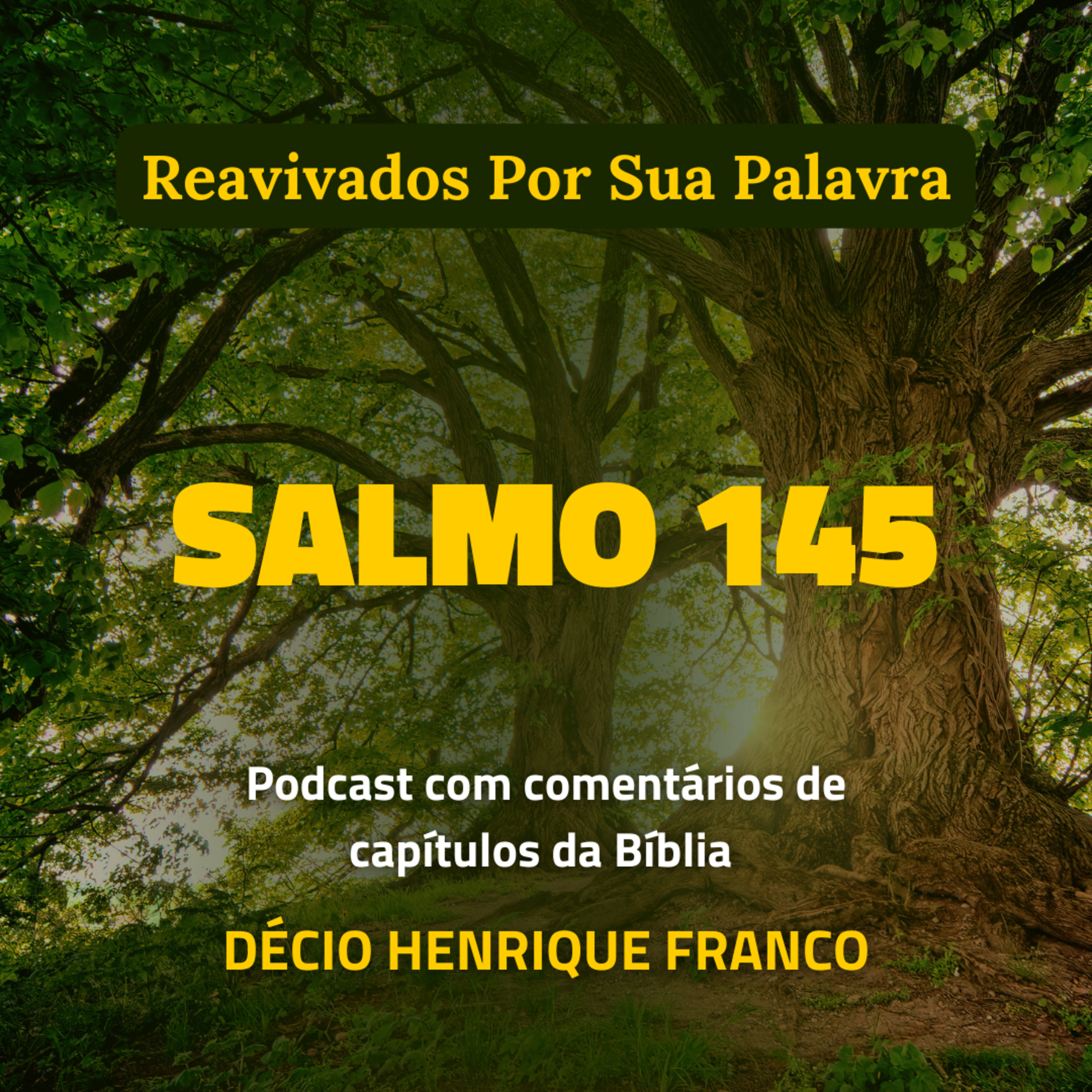 Salmo 145 Reavivados Por Sua Palavra #rpsp Podcast com comentários de capítulos da Bíblia. Décio Henrique Franco episode artwork
