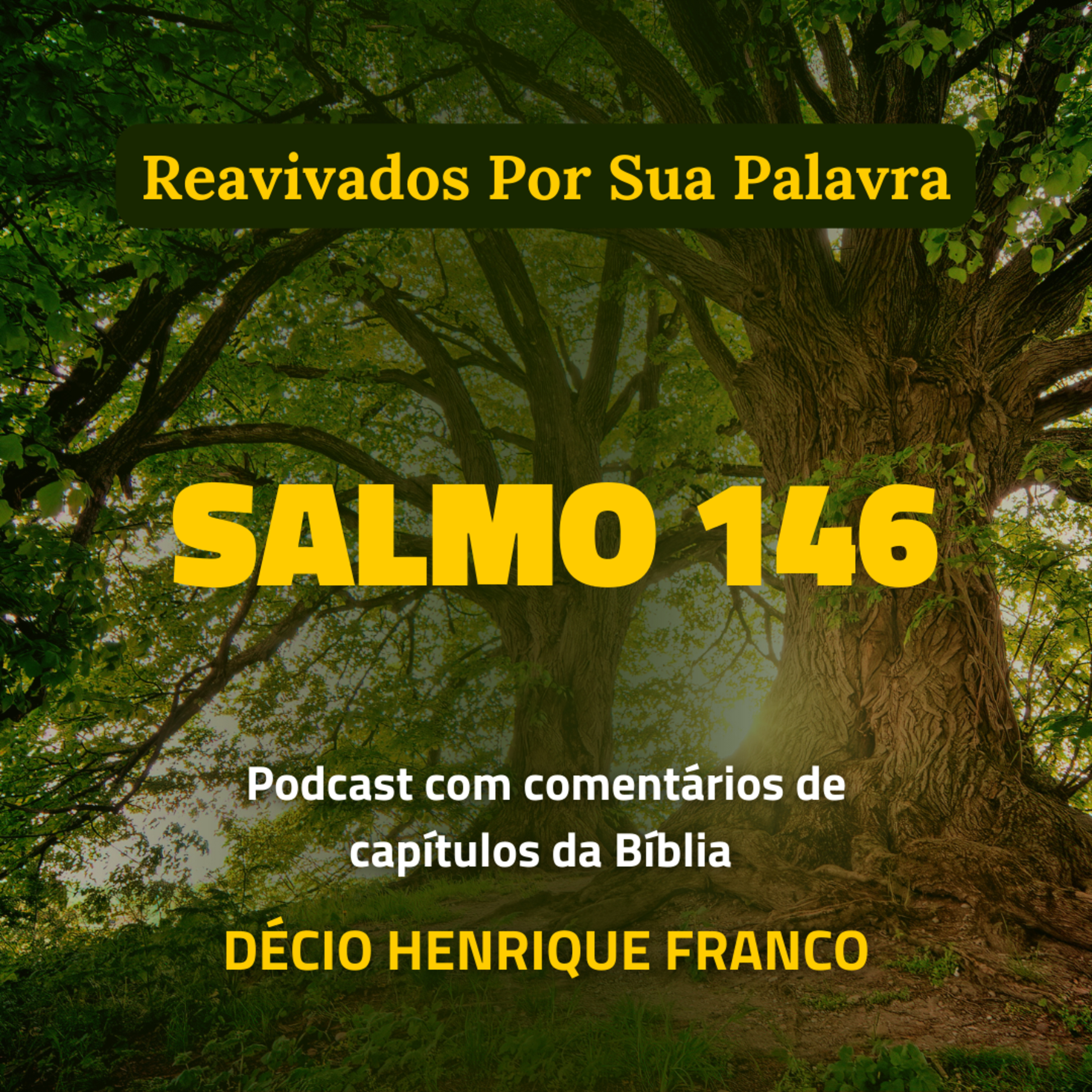 Salmo 146 Reavivados Por Sua Palavra #rpsp Podcast com comentários de capítulos da Bíblia. Décio Henrique Franco episode artwork