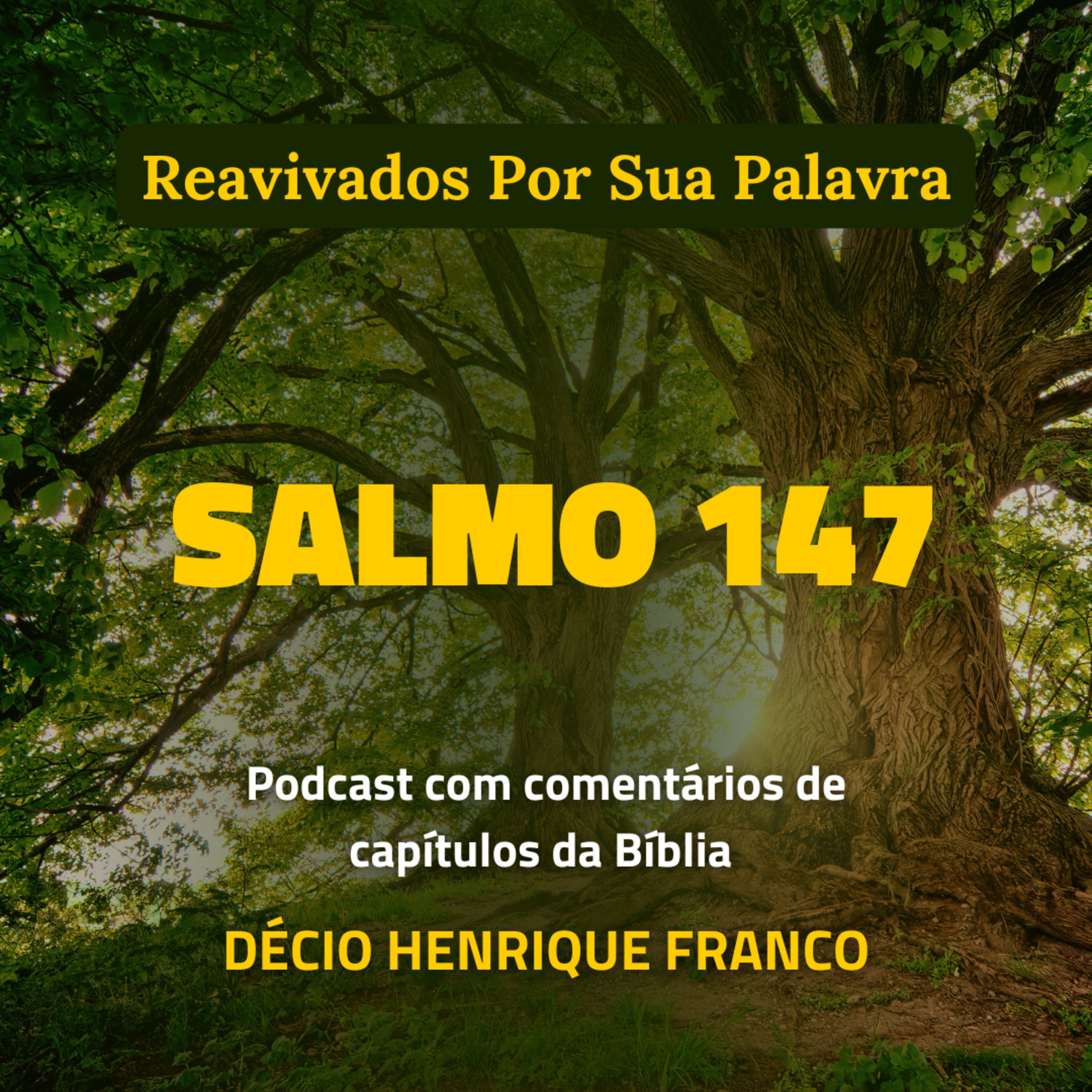 Salmo 147 Reavivados Por Sua Palavra #rpsp Podcast com comentários de capítulos da Bíblia. Décio Henrique Franco episode artwork