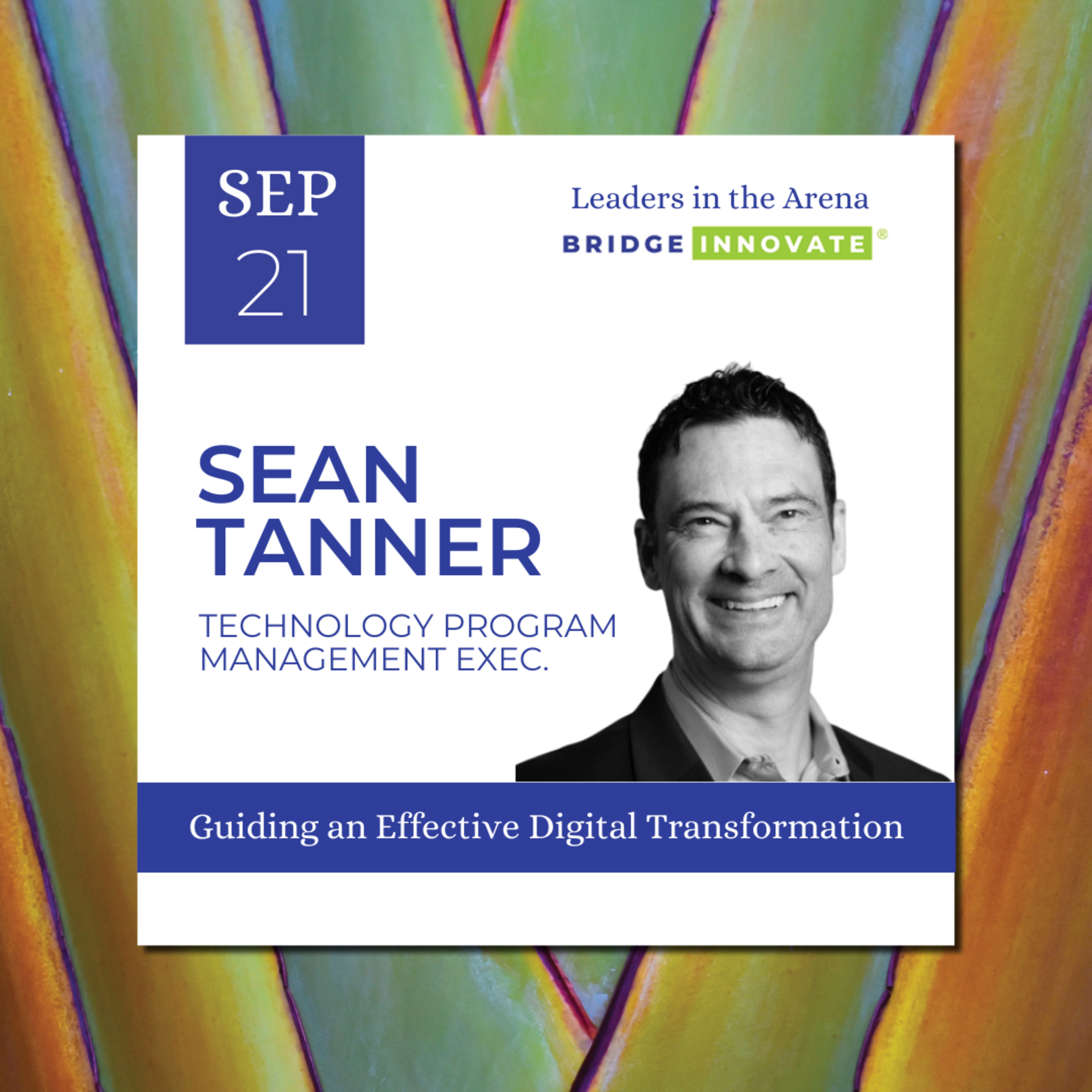 Leaders in the Arena