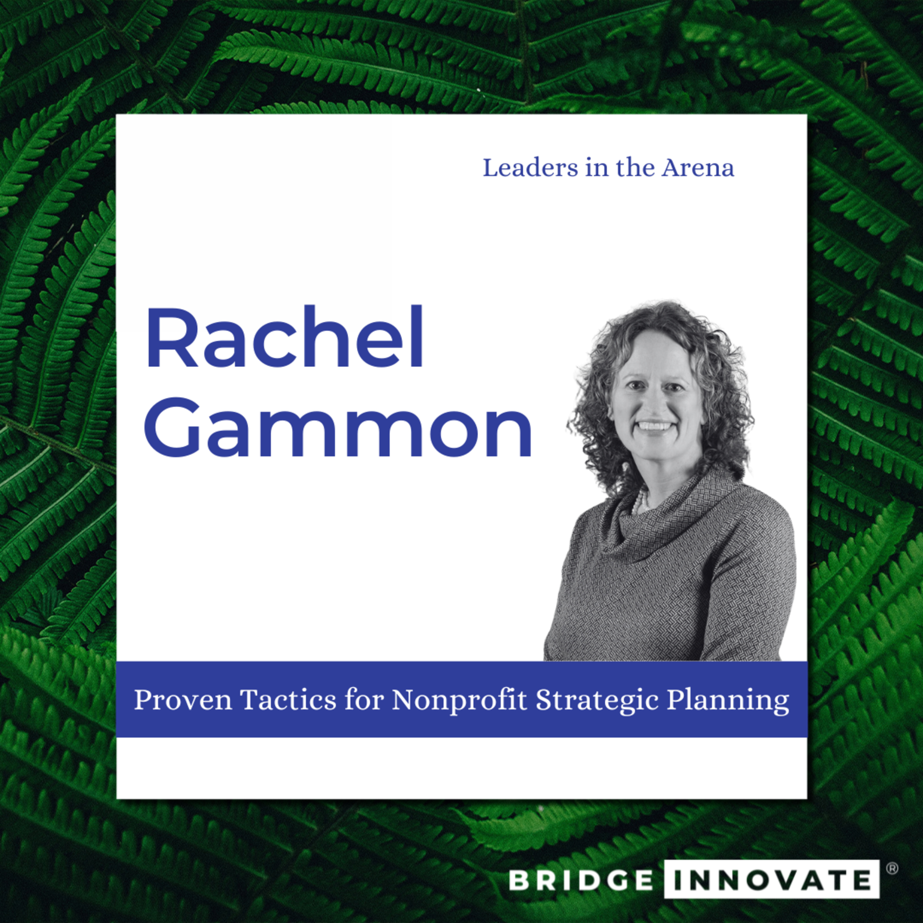 Leaders in the Arena