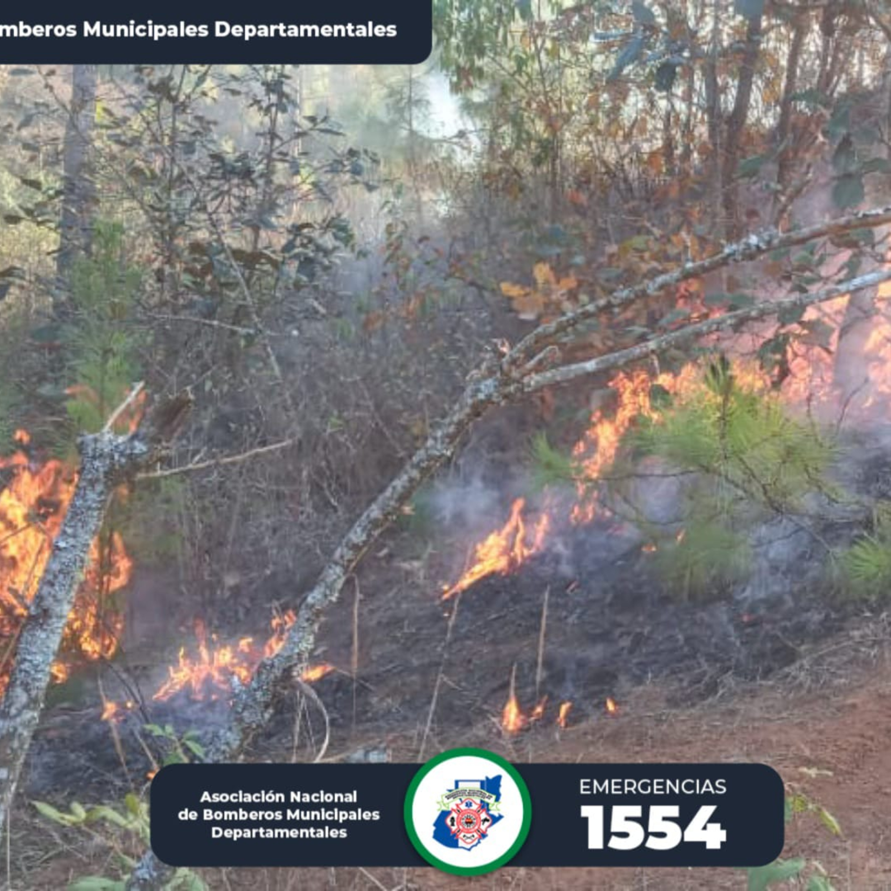 Incendio forestal en Chiché. episode artwork