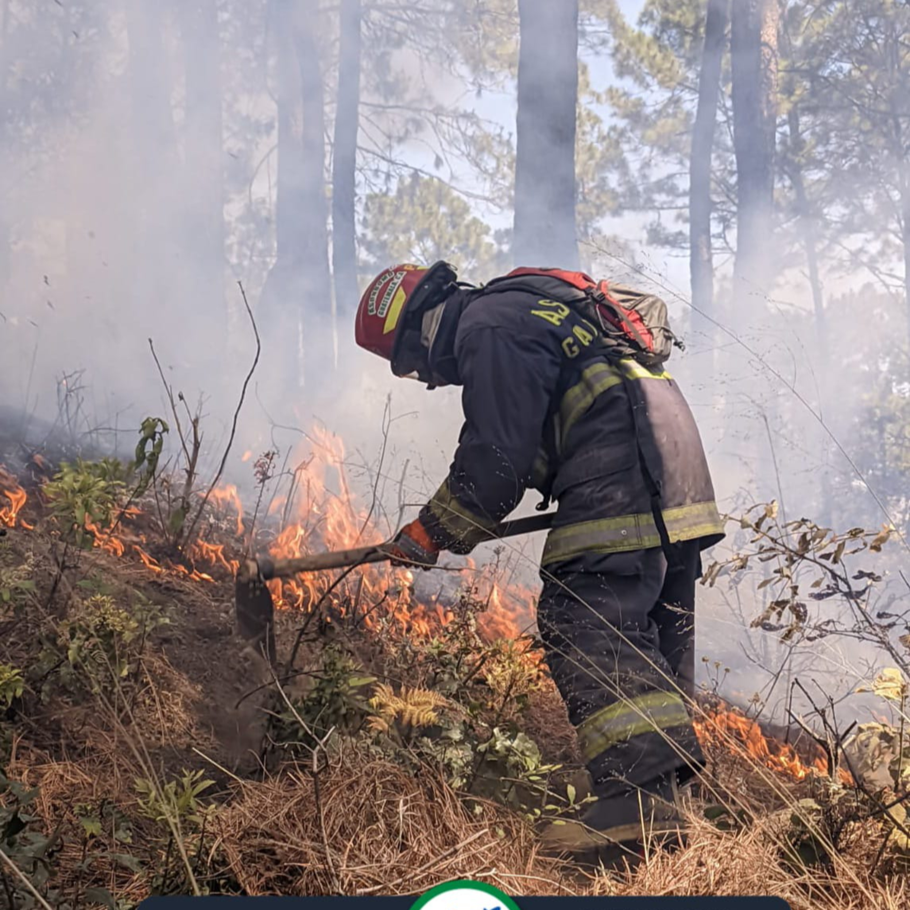 Incendio forestal en Pachoj. episode artwork