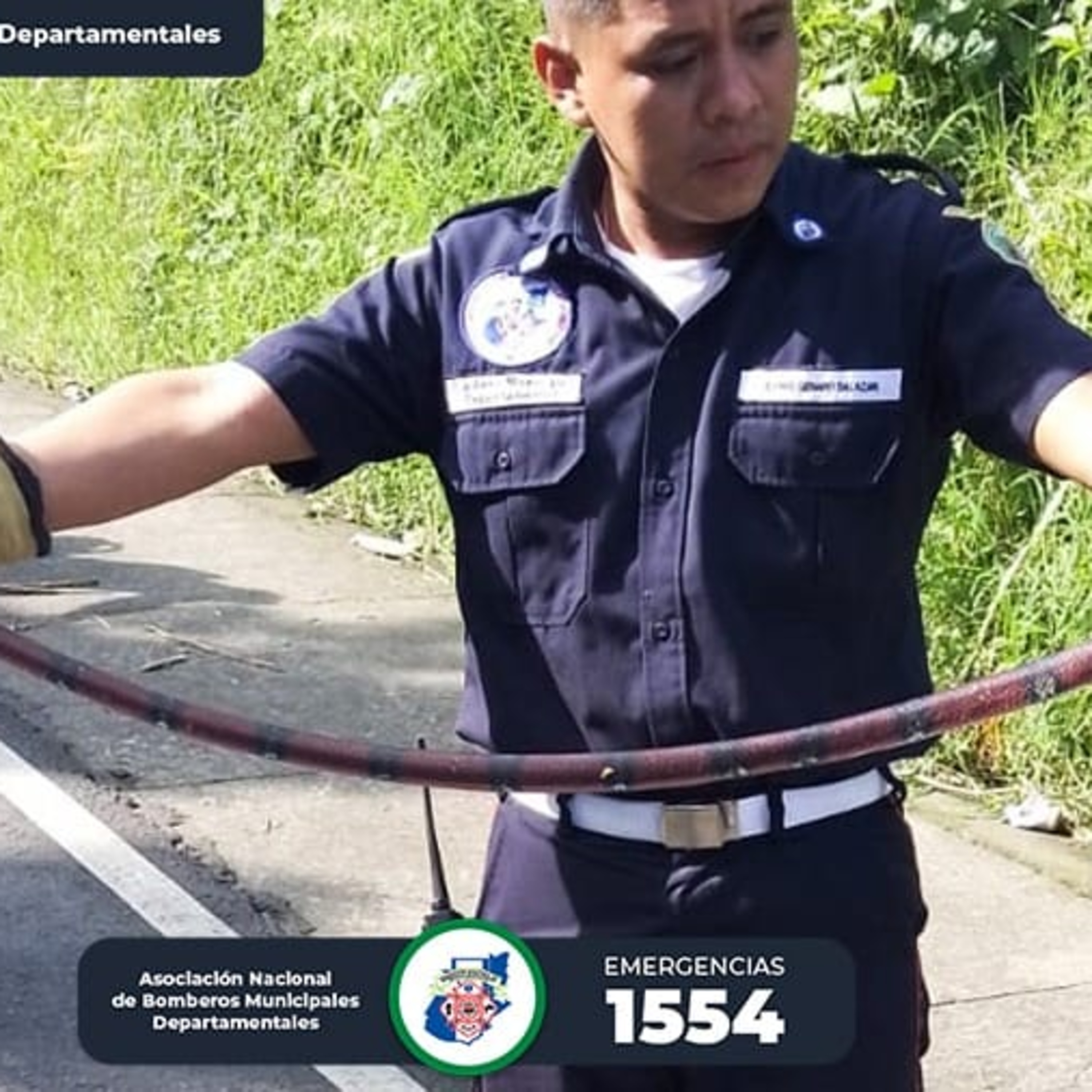 Bomberos Municipales rescatan a serpiente. episode artwork