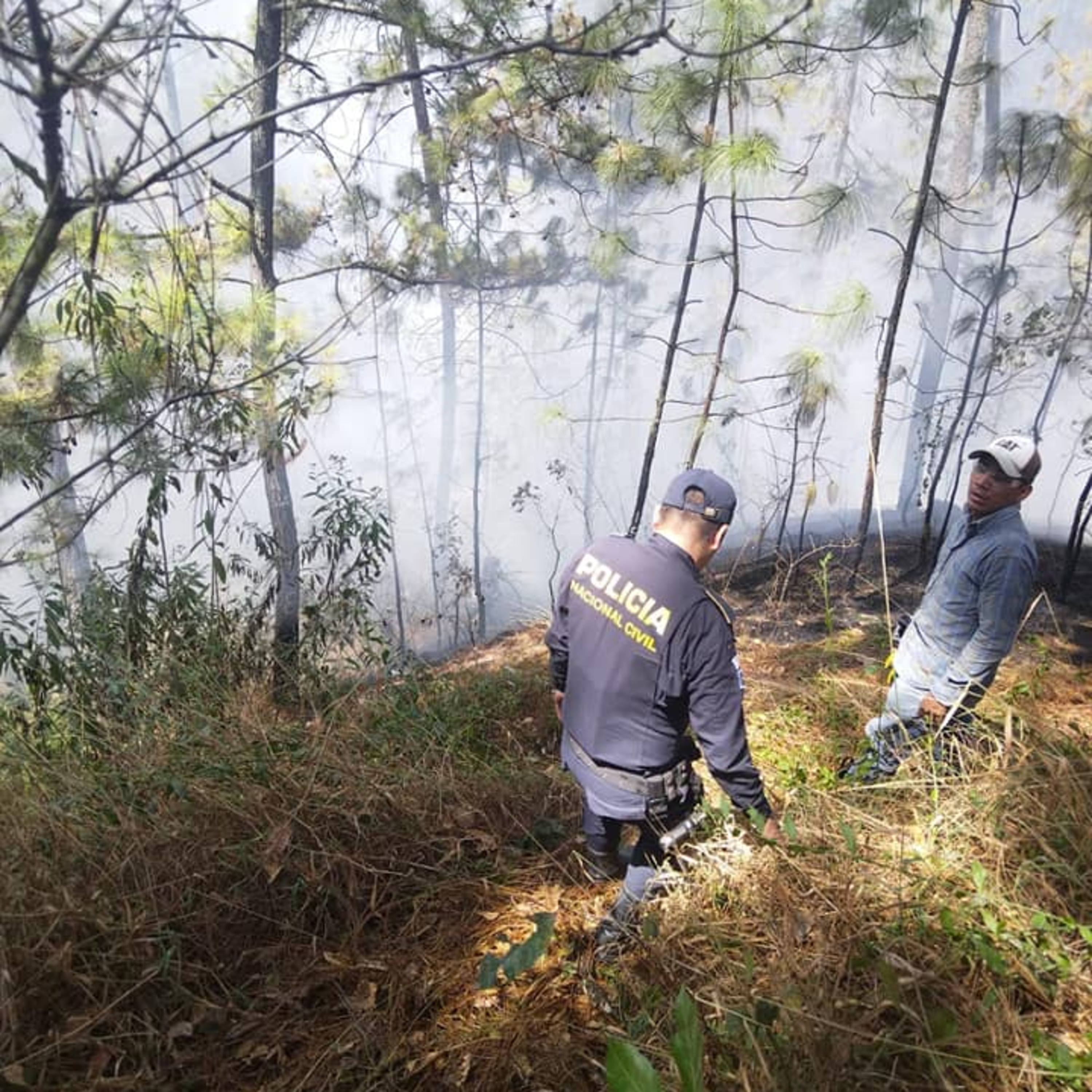Incendio forestal. episode artwork