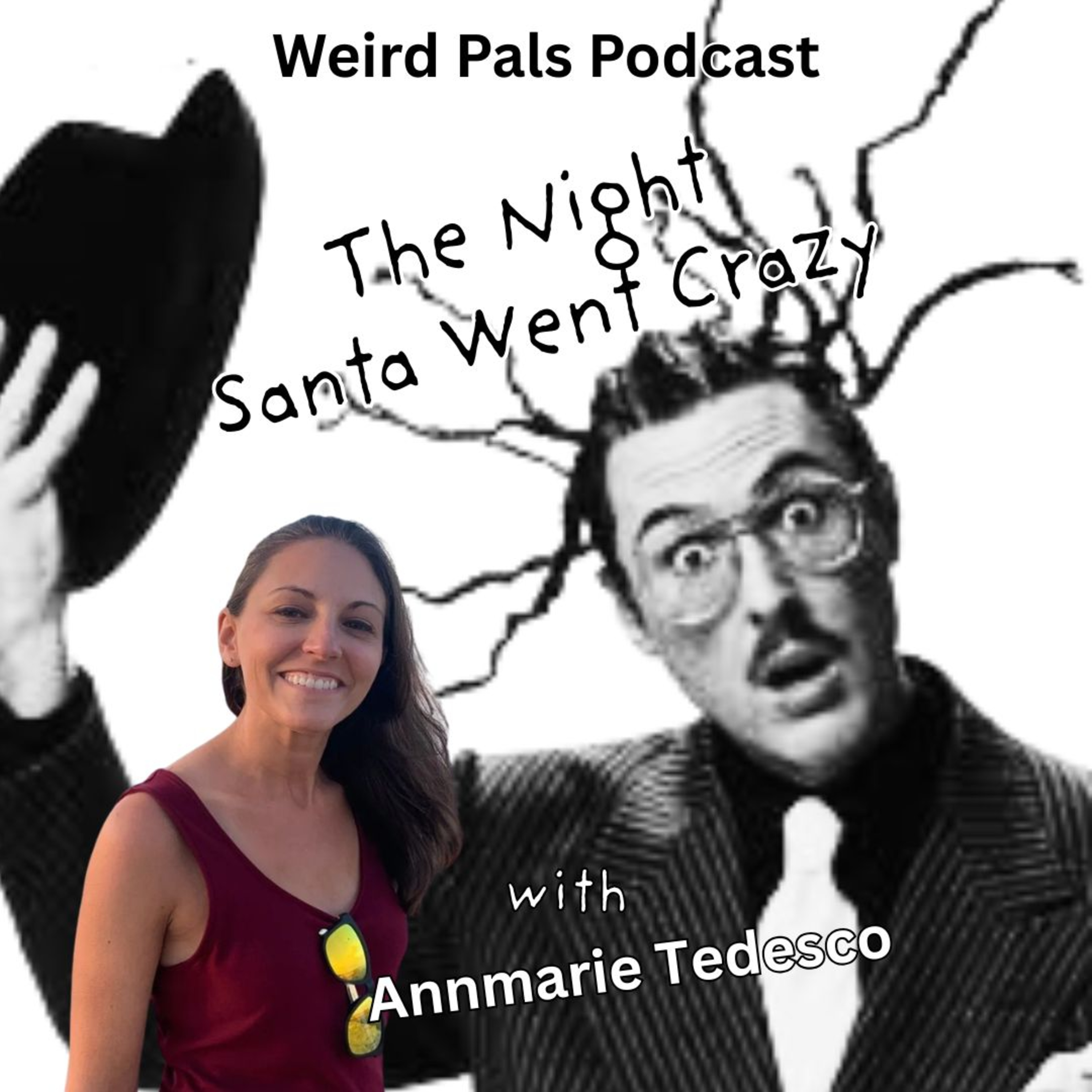“The Night Santa Went Crazy” with Annmarie Tedesco