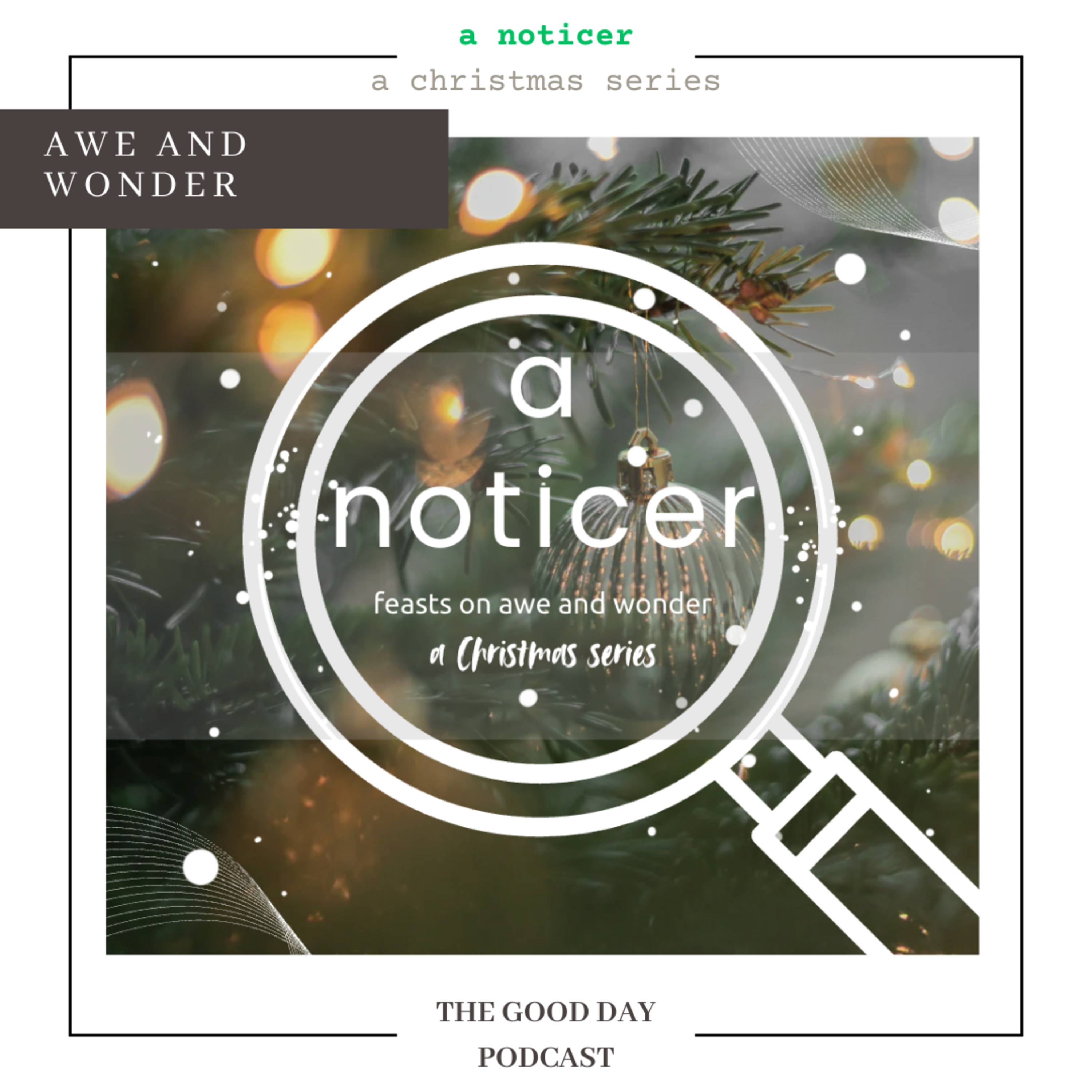 A Noticer: Feasts on Awe and Wonder
