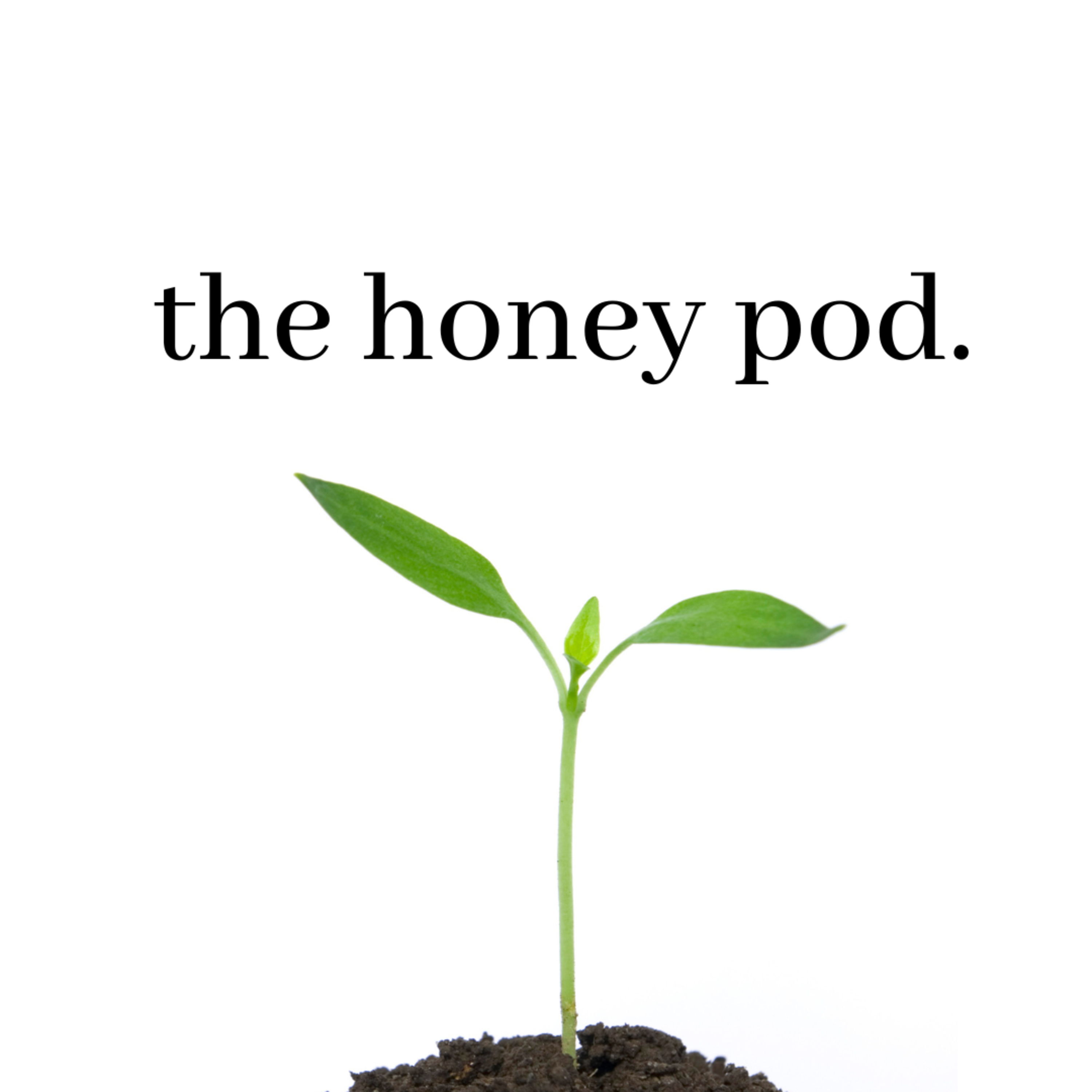 The Honey Pod