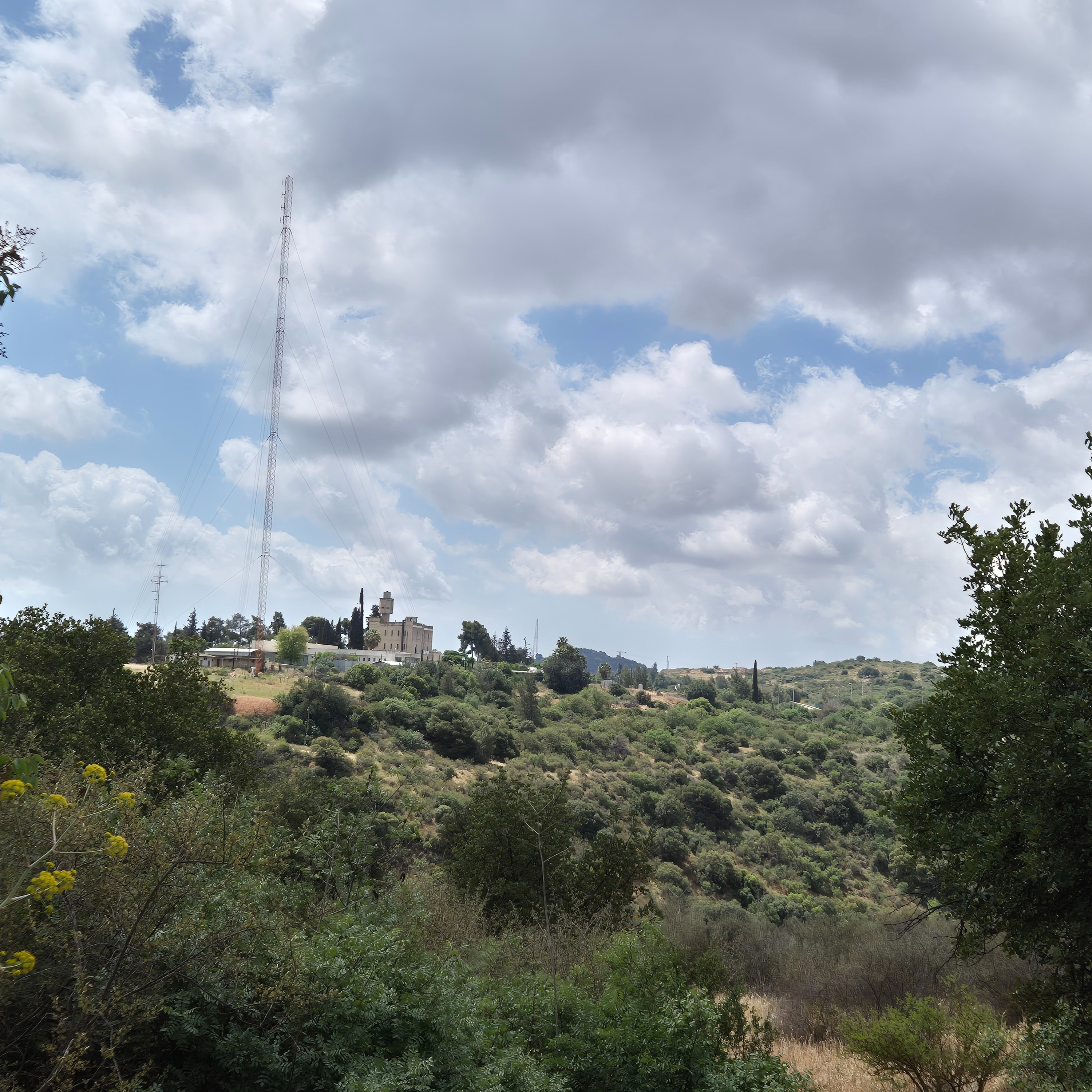 סביבנו- מוזיאונים בגליל העליון 14.5.2025 episode artwork