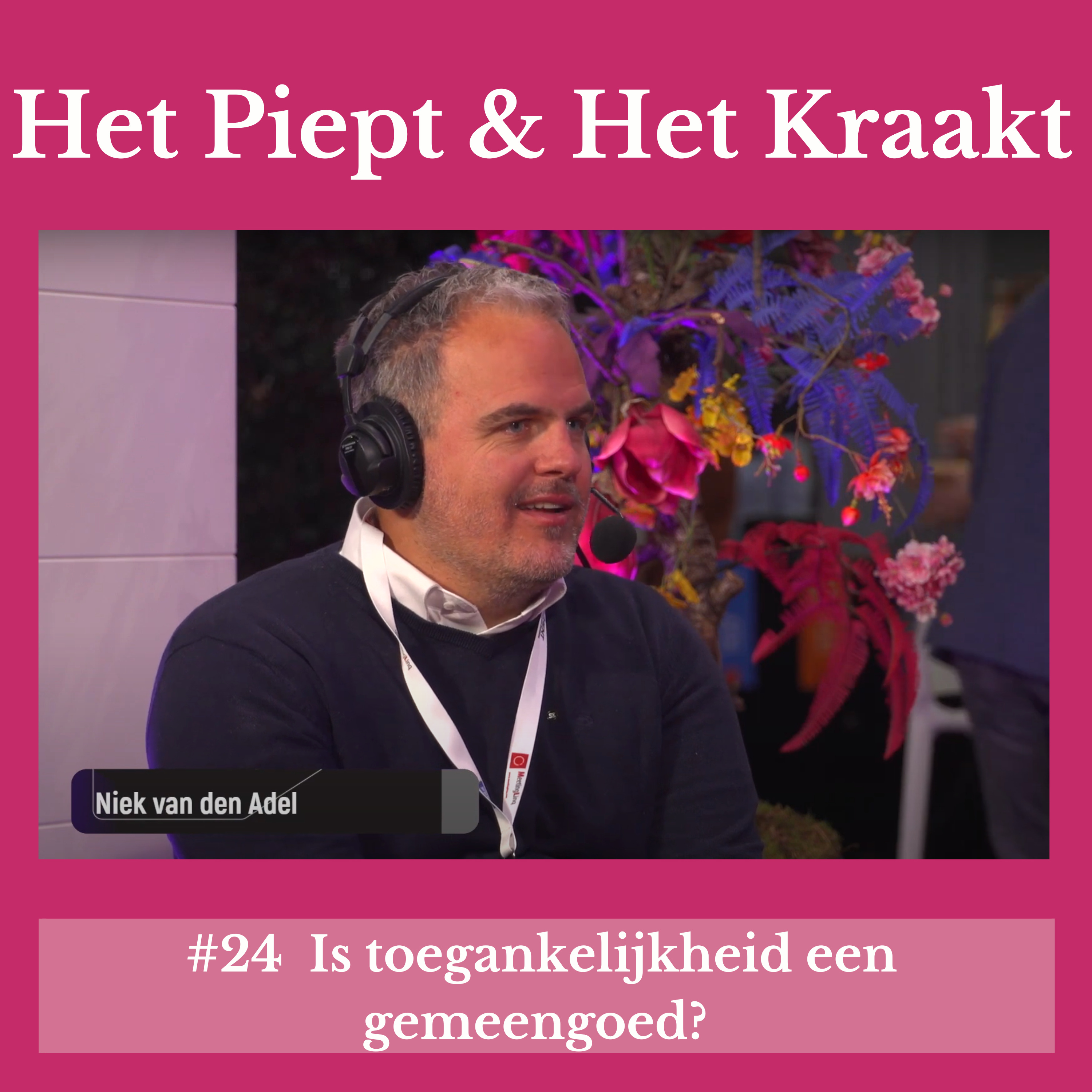 Het Piept en Het Kraakt