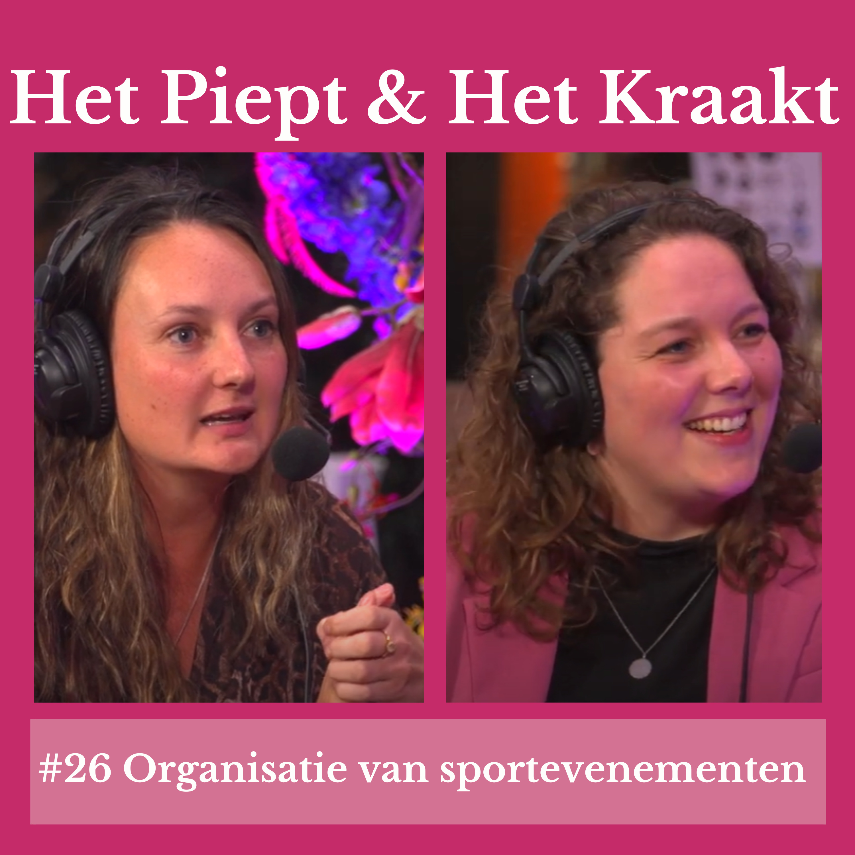 Het Piept en Het Kraakt