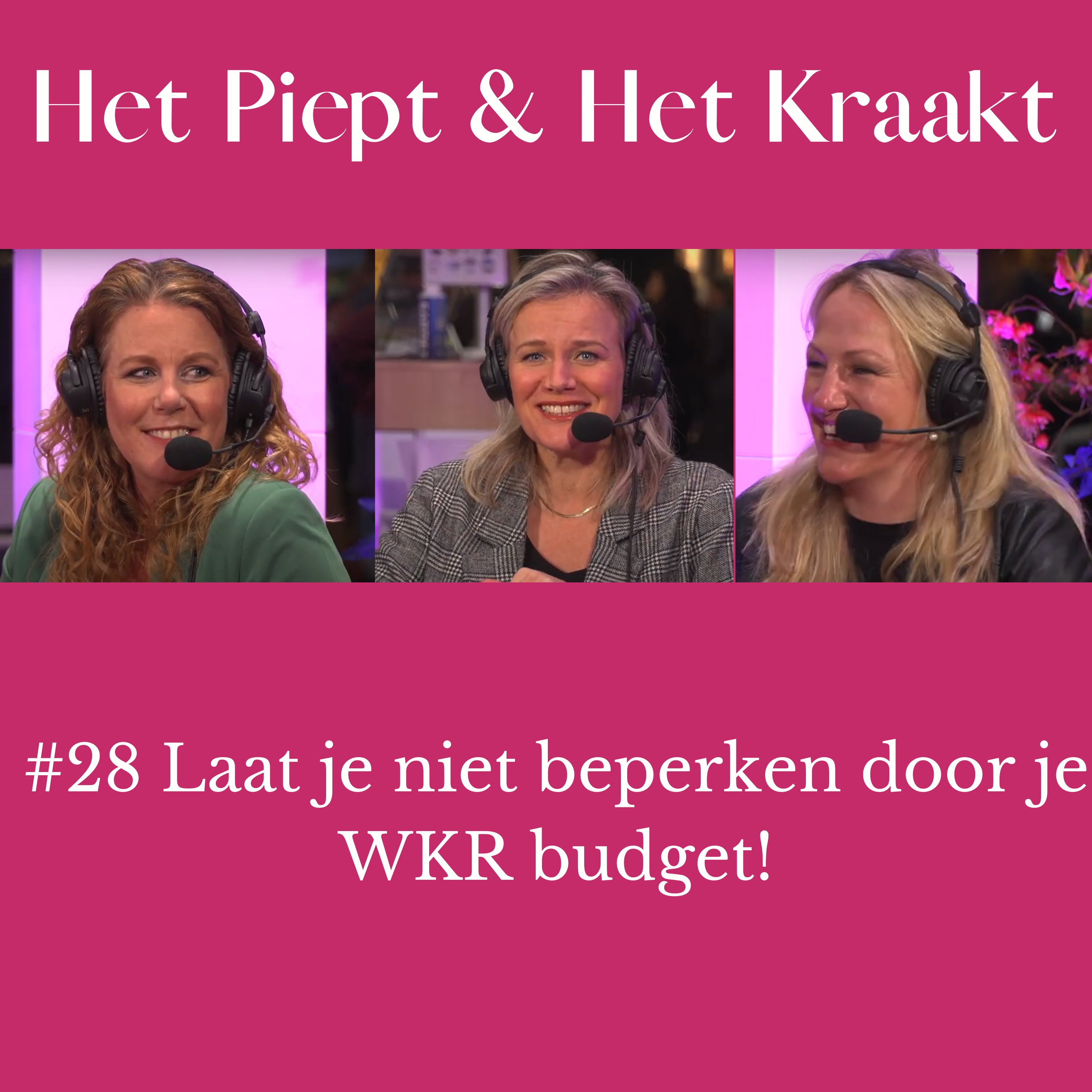Het Piept en Het Kraakt