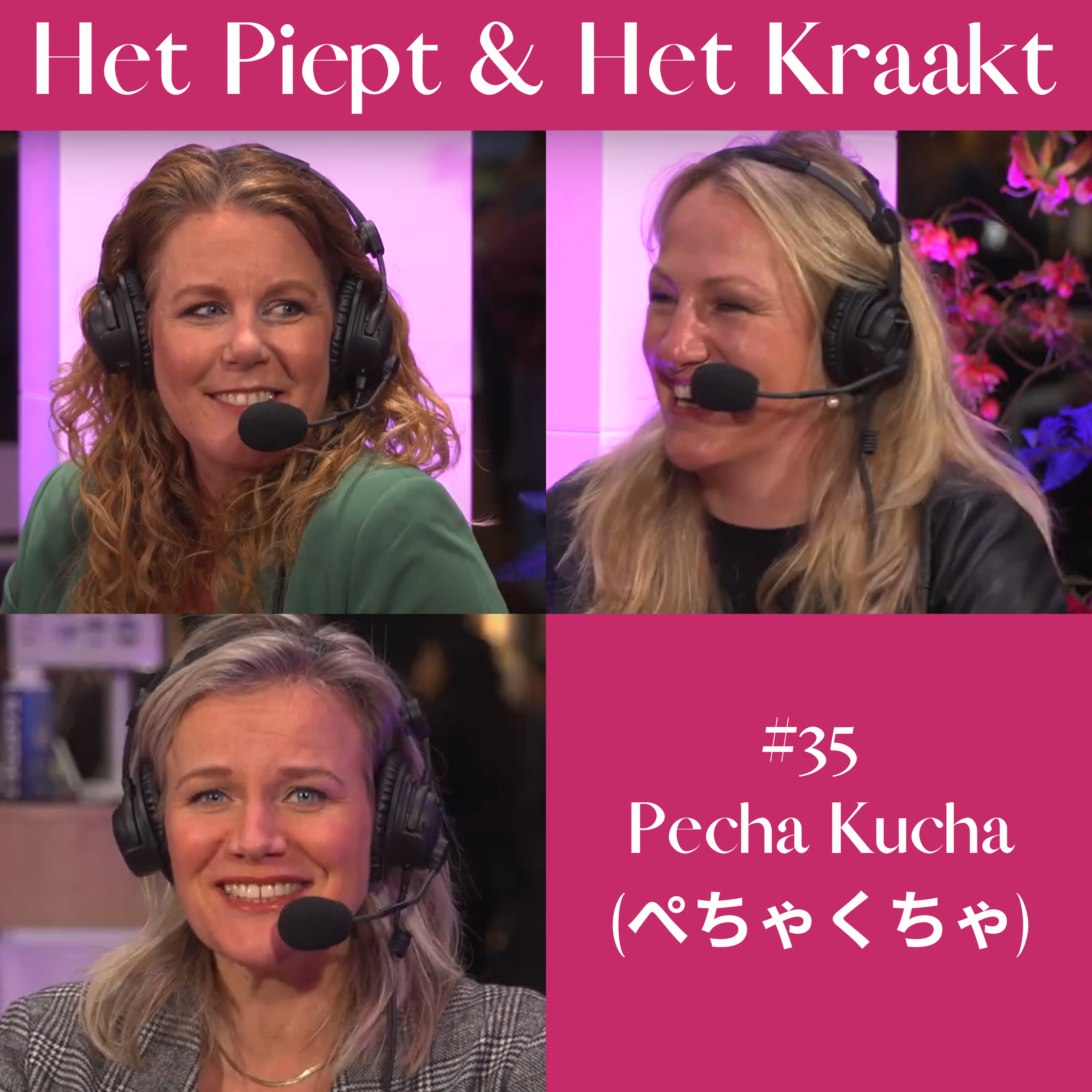 Het Piept en Het Kraakt