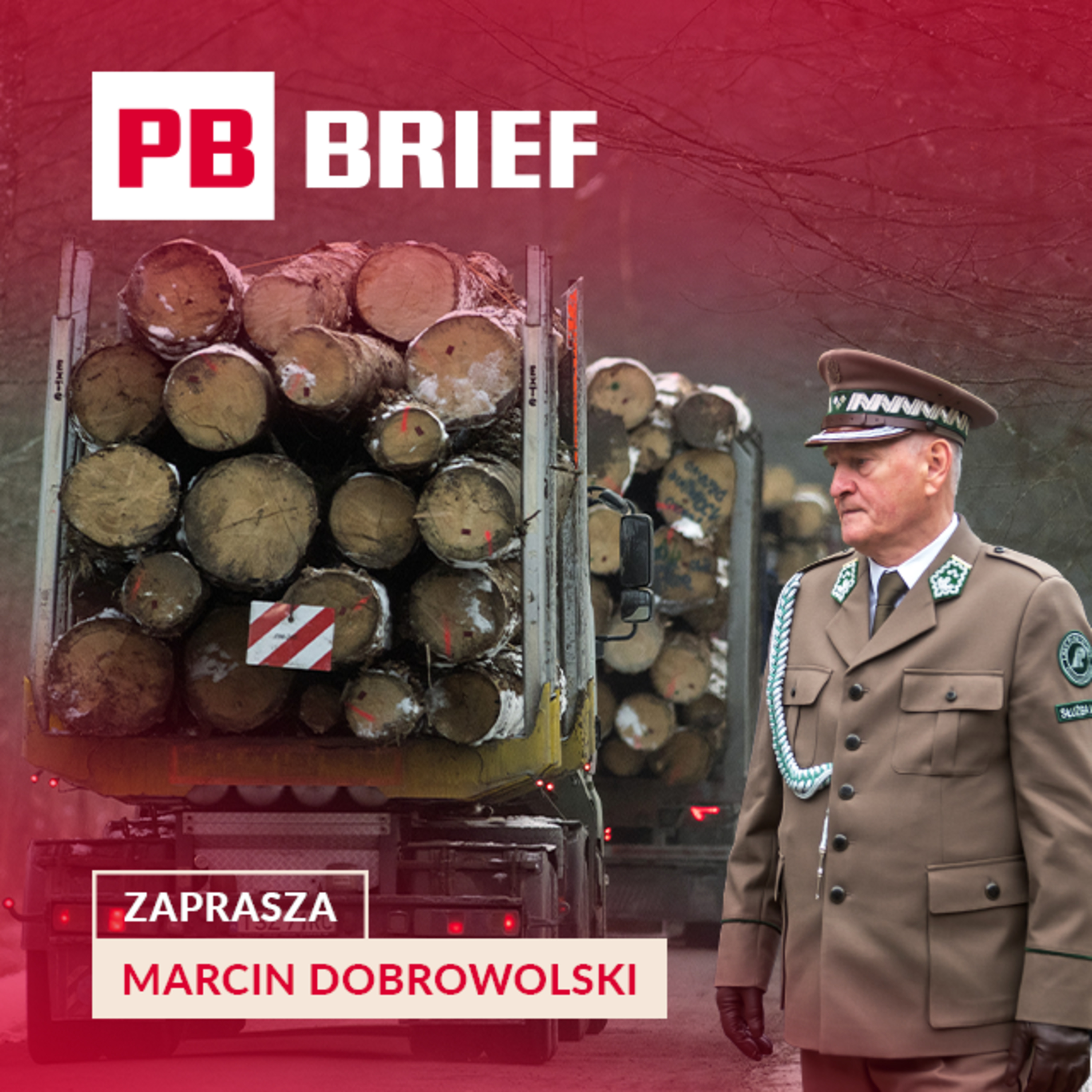 Potęga Lasów Państwowych, pułapka dotacji i mit deregulacji. PB BRIEF episode artwork