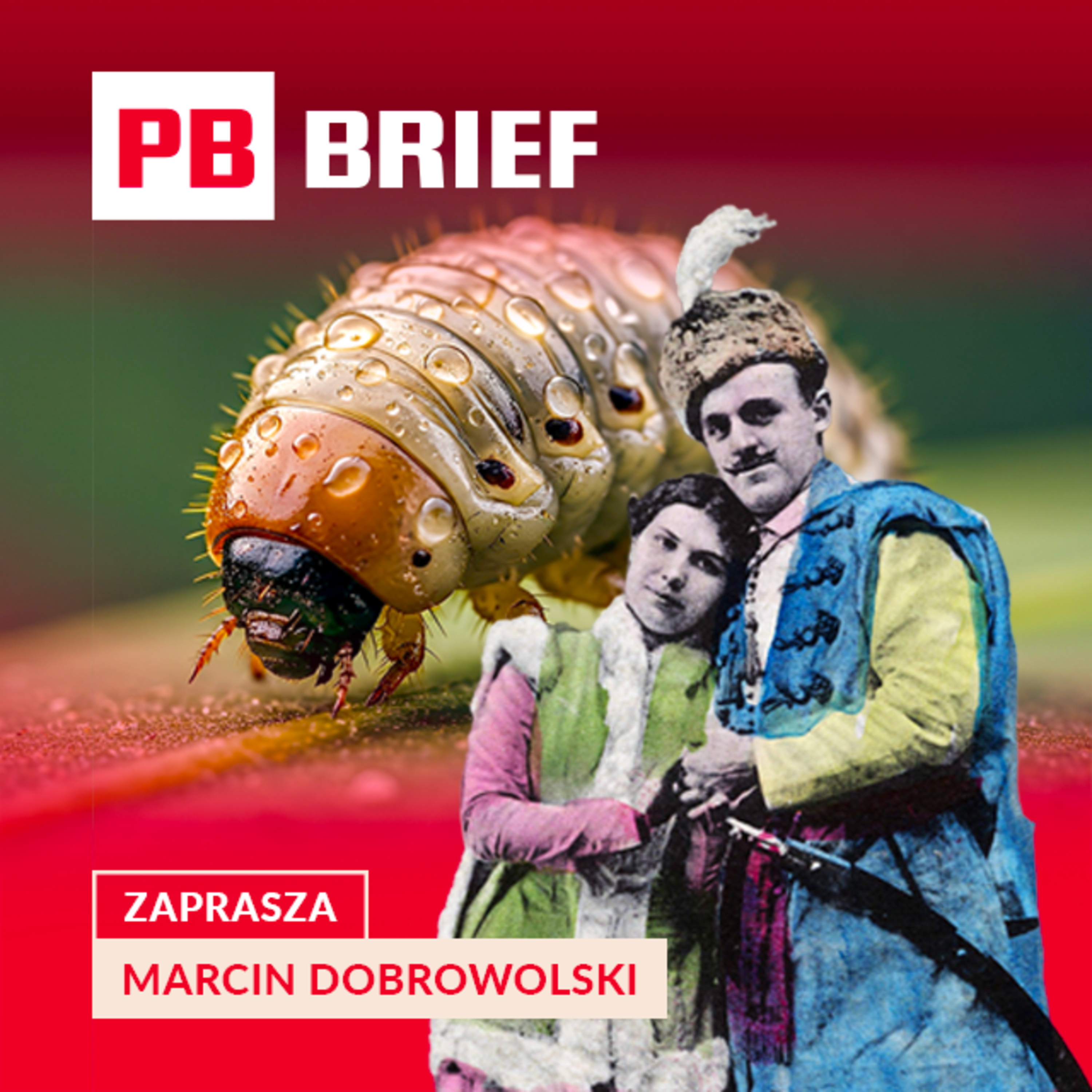 Czerwiec polski: robak, który dał nazwę miesiącowi i barwił Europę na czerwono | PB BRIEF