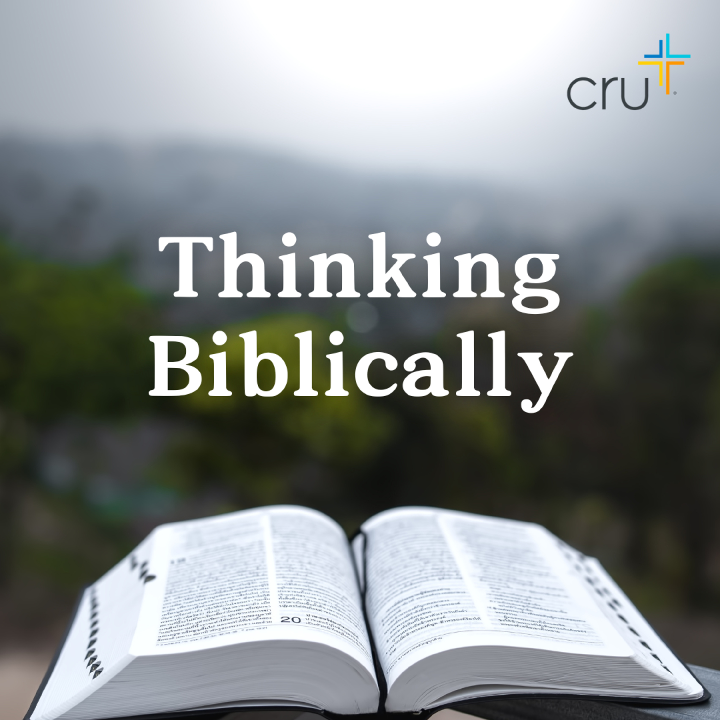 Thinking Biblically: Why Pray? episode artwork