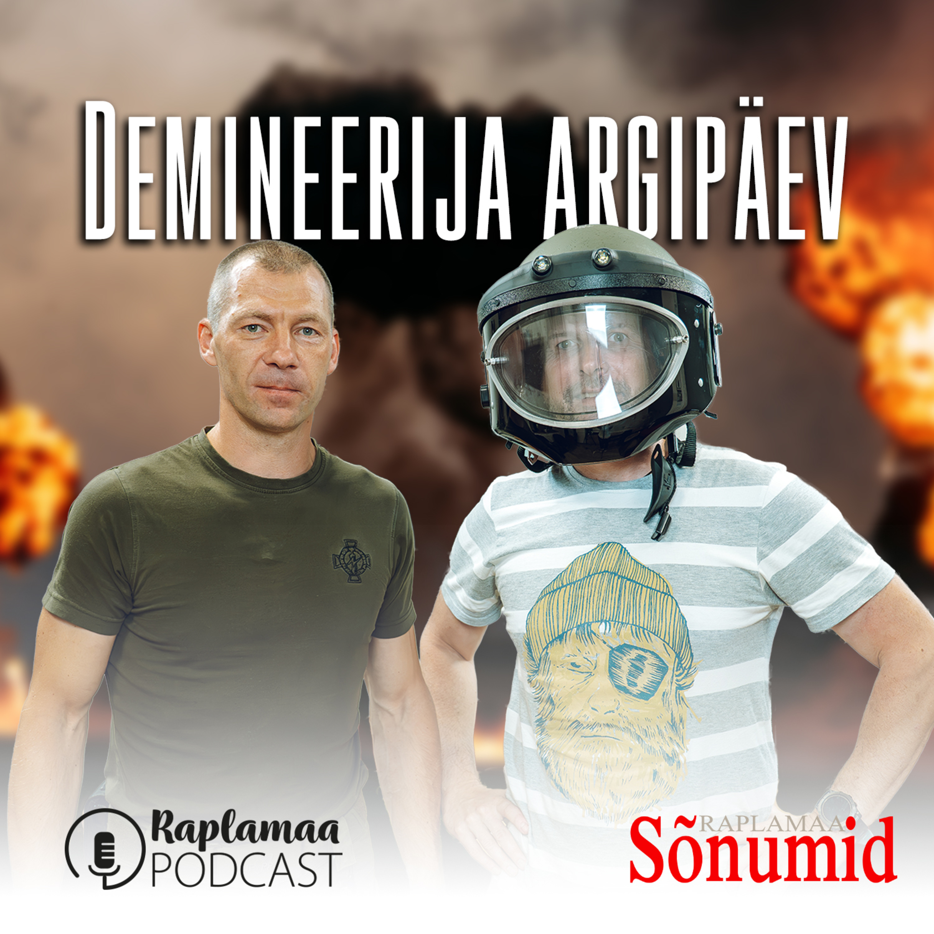 Aivar Post - Demineerija argipäev