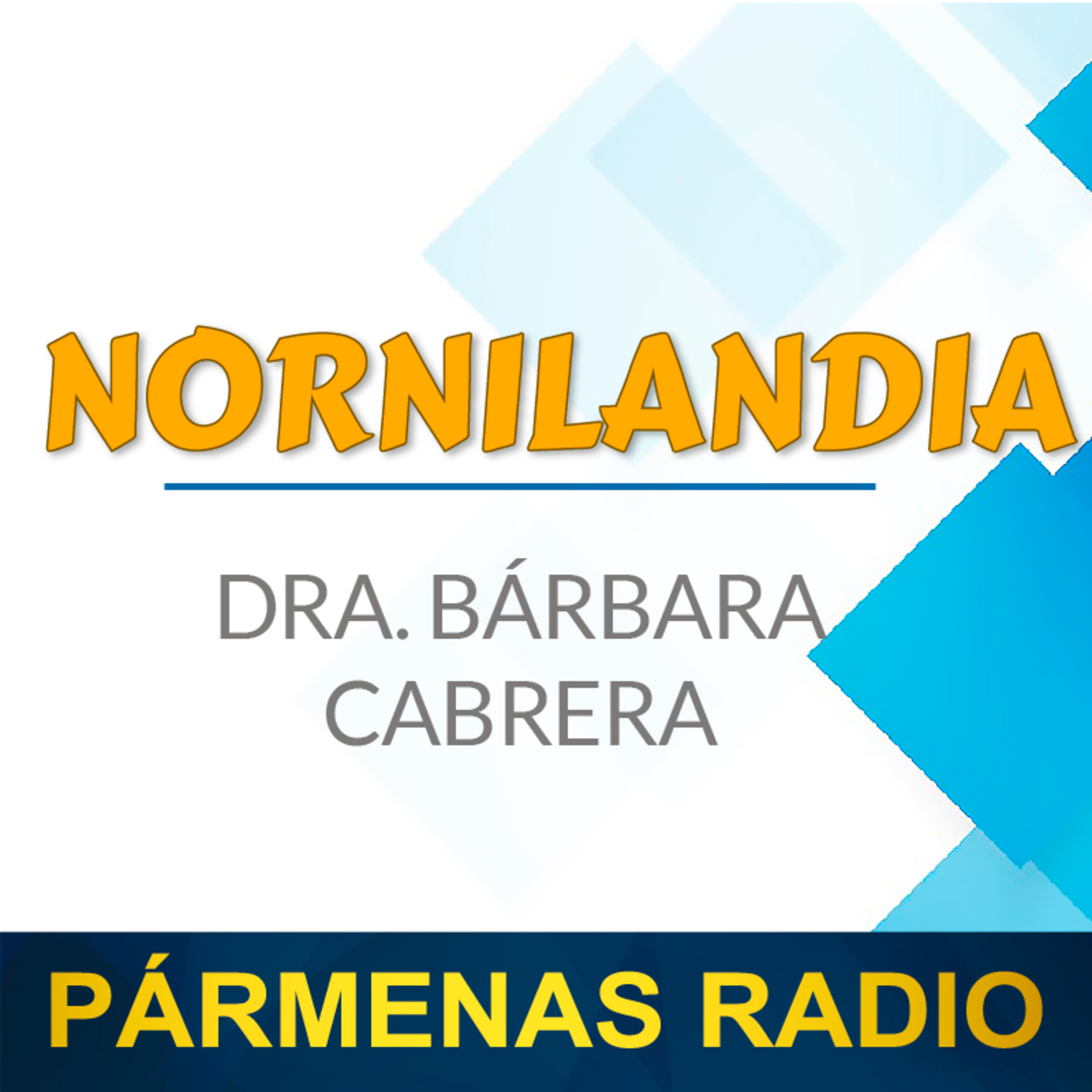  Contrato social digital