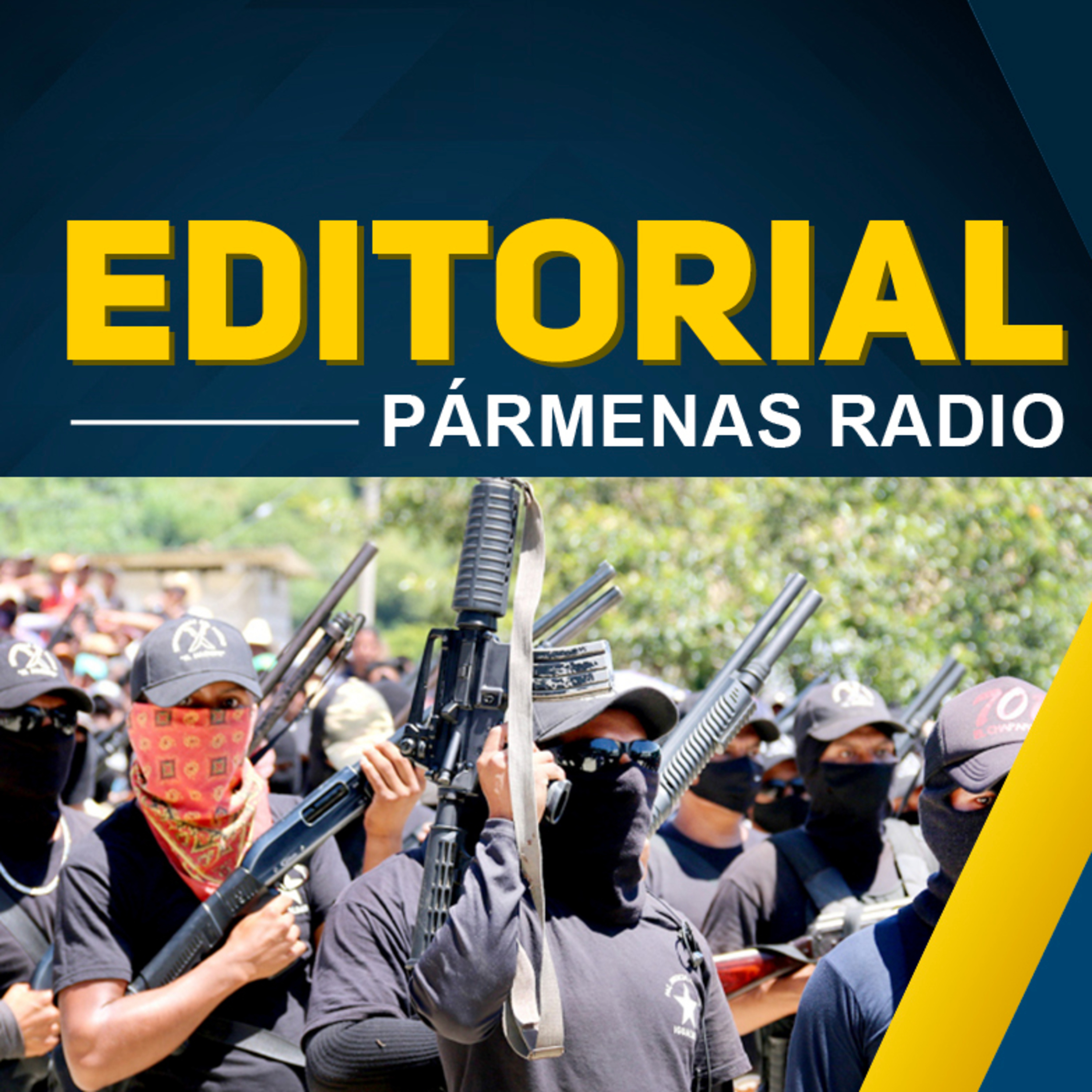  Las autodefensas una prueba del Estado ausente