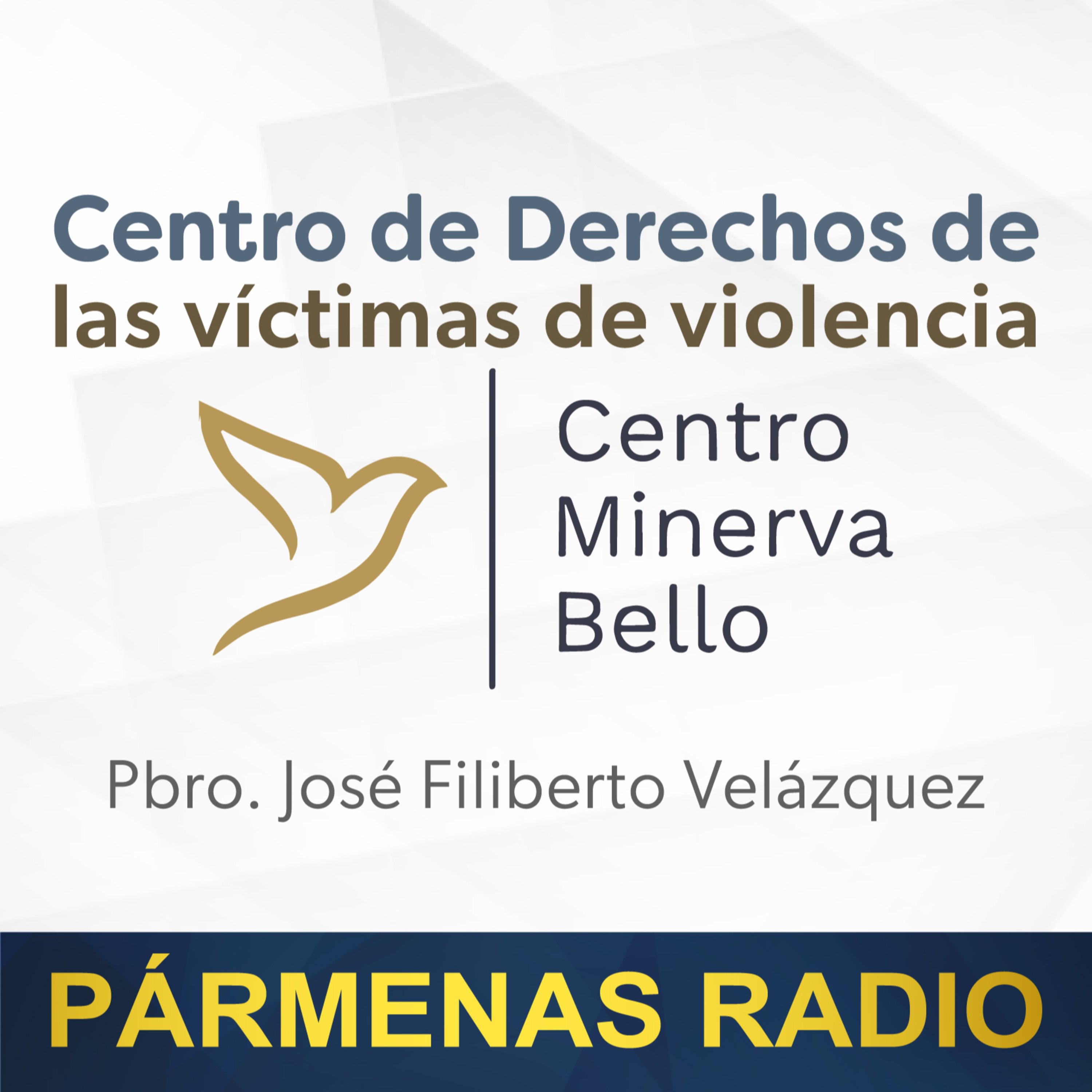 ¿ Qué es la fundación Minerva Bello?