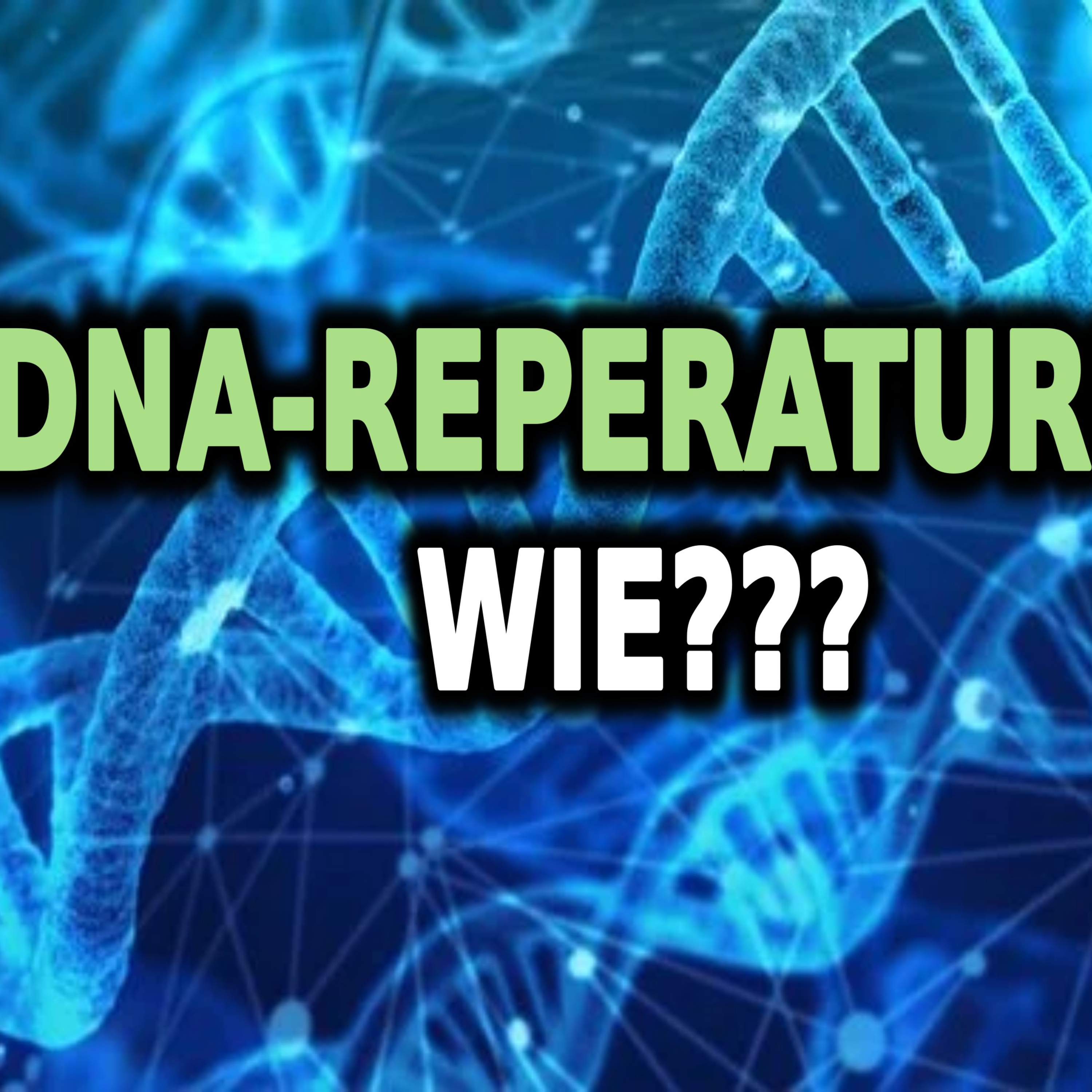 Alterung, DNA, Chromosomen & Telomere episode artwork