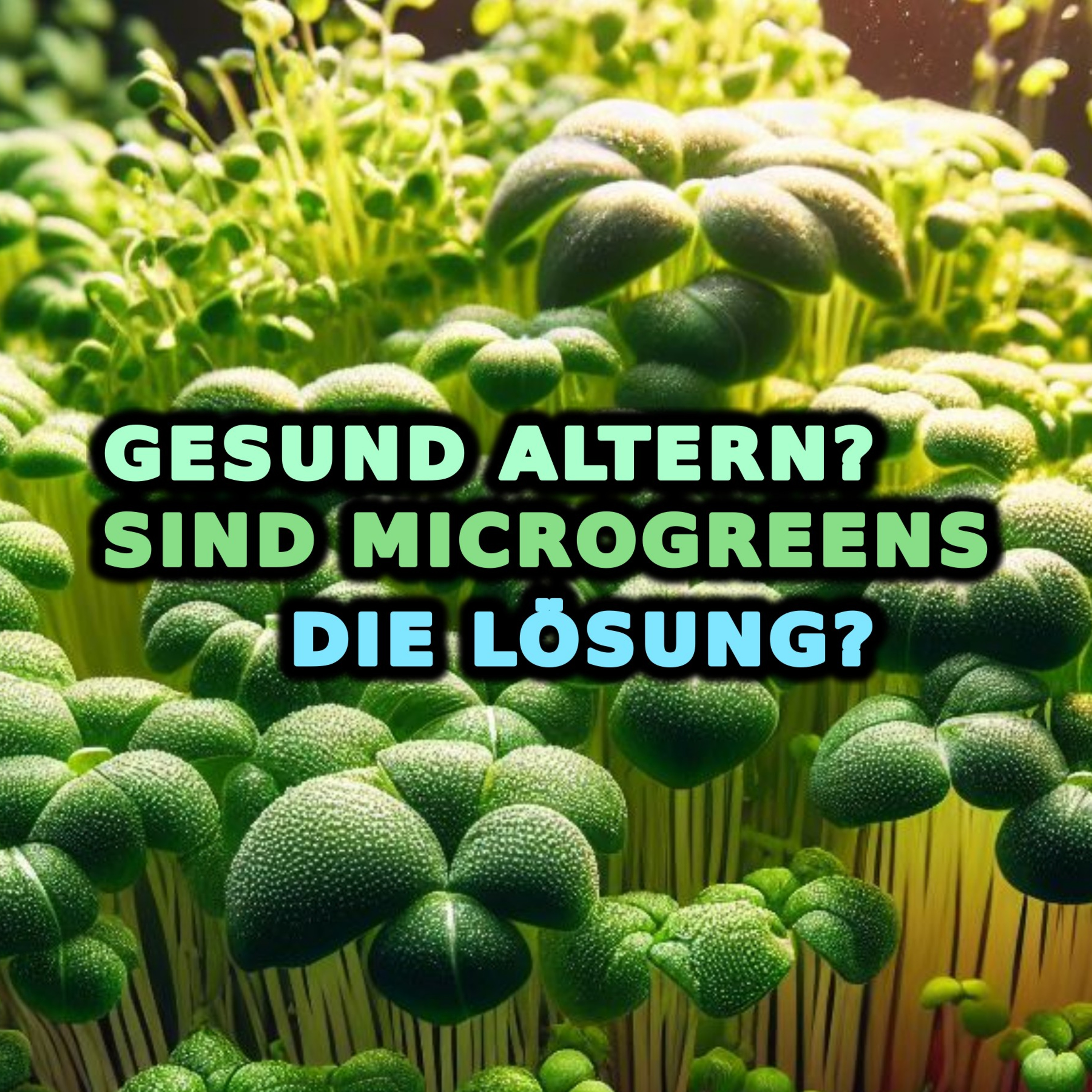 Alterung, Gesundheit und Alterungsprävention