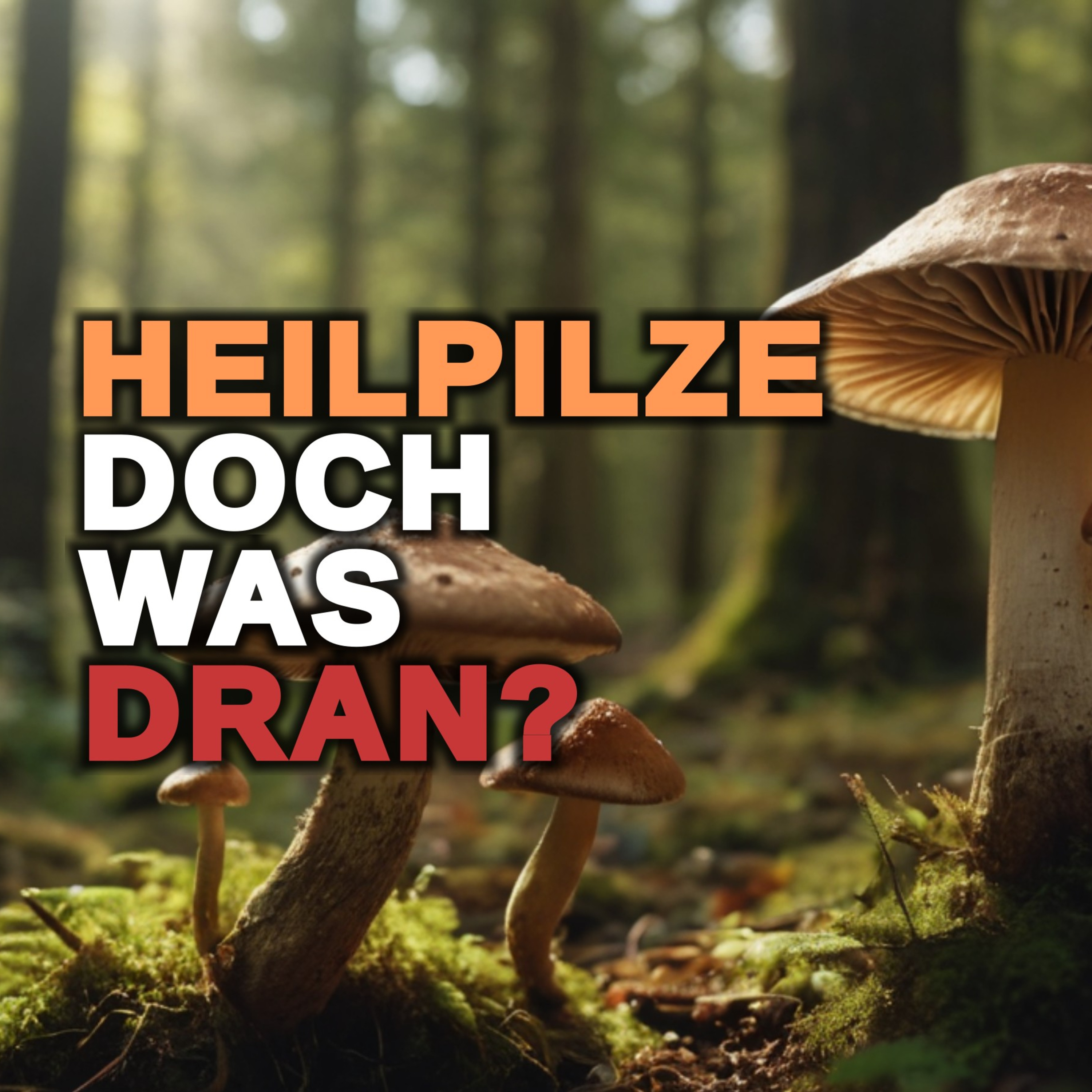 Alterung, Gesundheit und Alterungsprävention