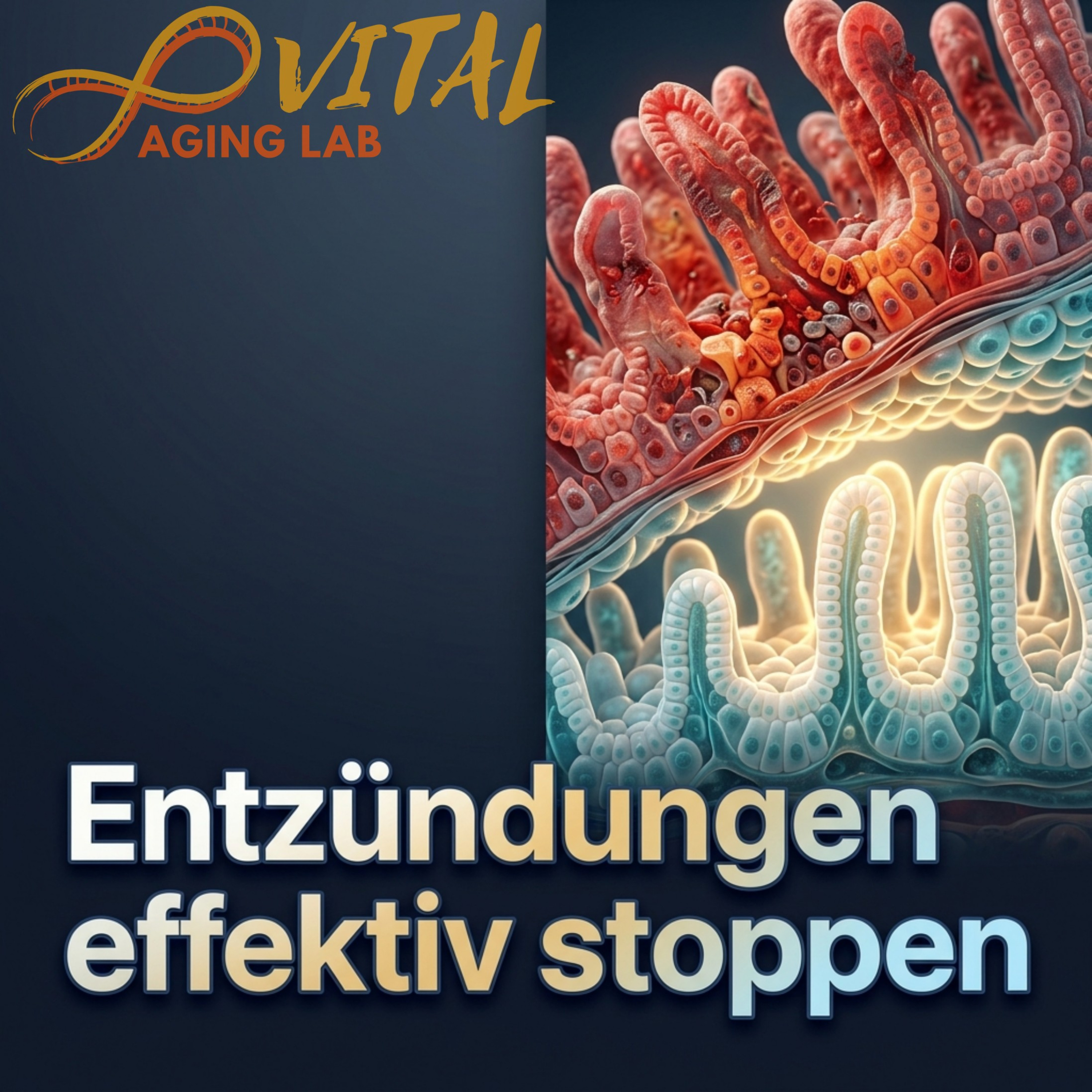 Darmkrebs-Risiko ab 45 verstehen: Der verborgene Einfluss von Umwelt und Ernährung episode artwork