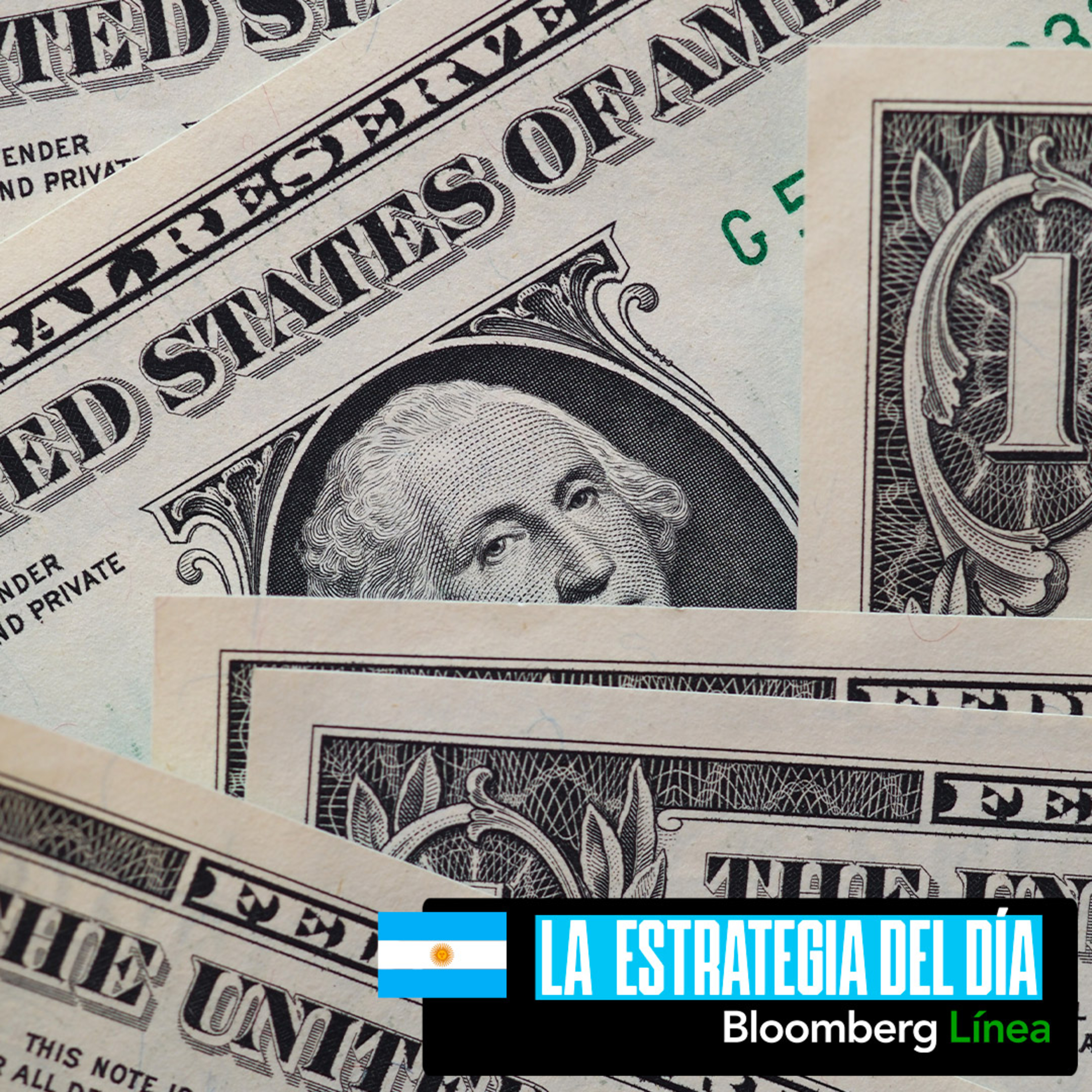 Alfredo Romano: “El tipo de cambio para dolarizar la economía argentina sería de $480”