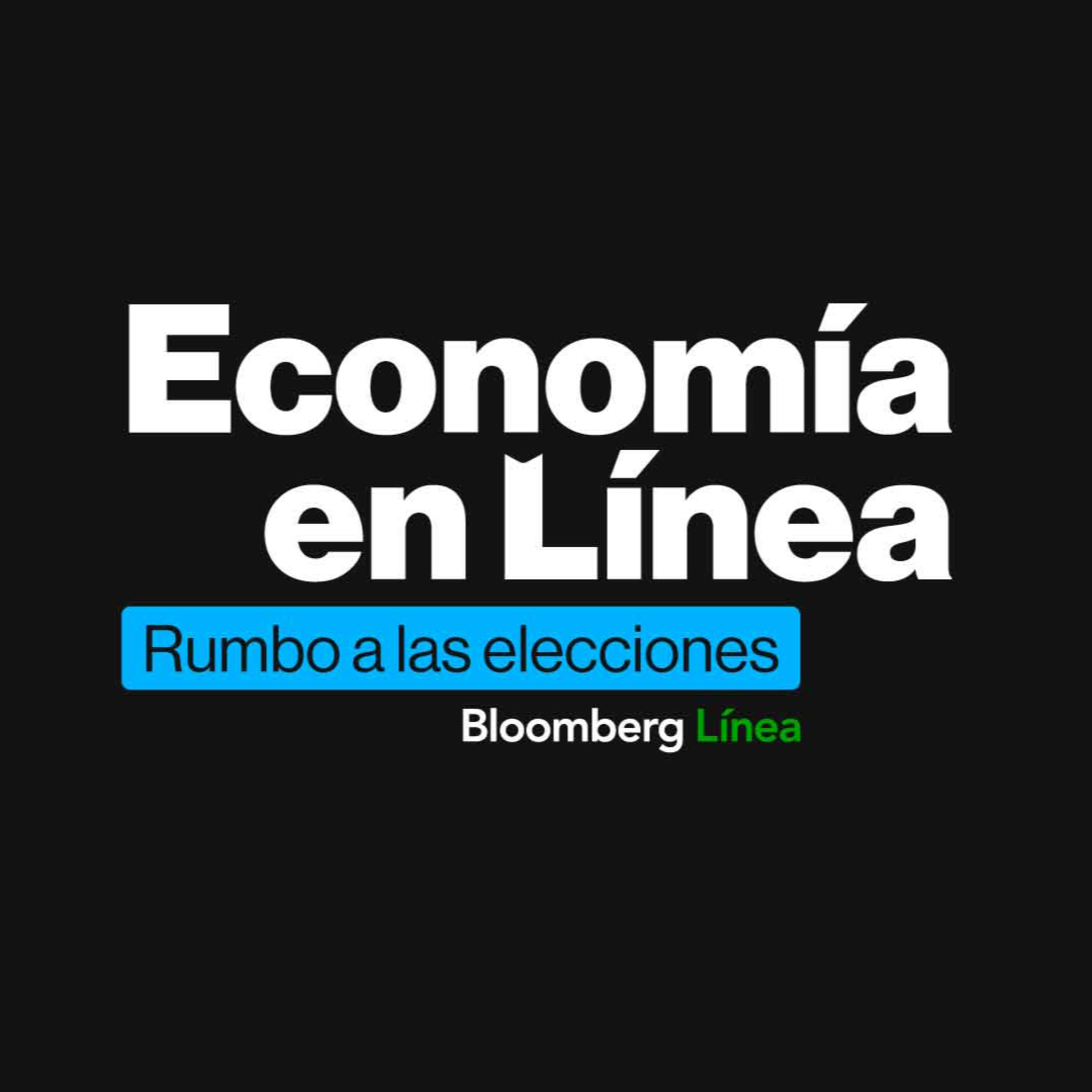 Economía en Línea: Rumbo a las elecciones con Marina Dal Poggetto