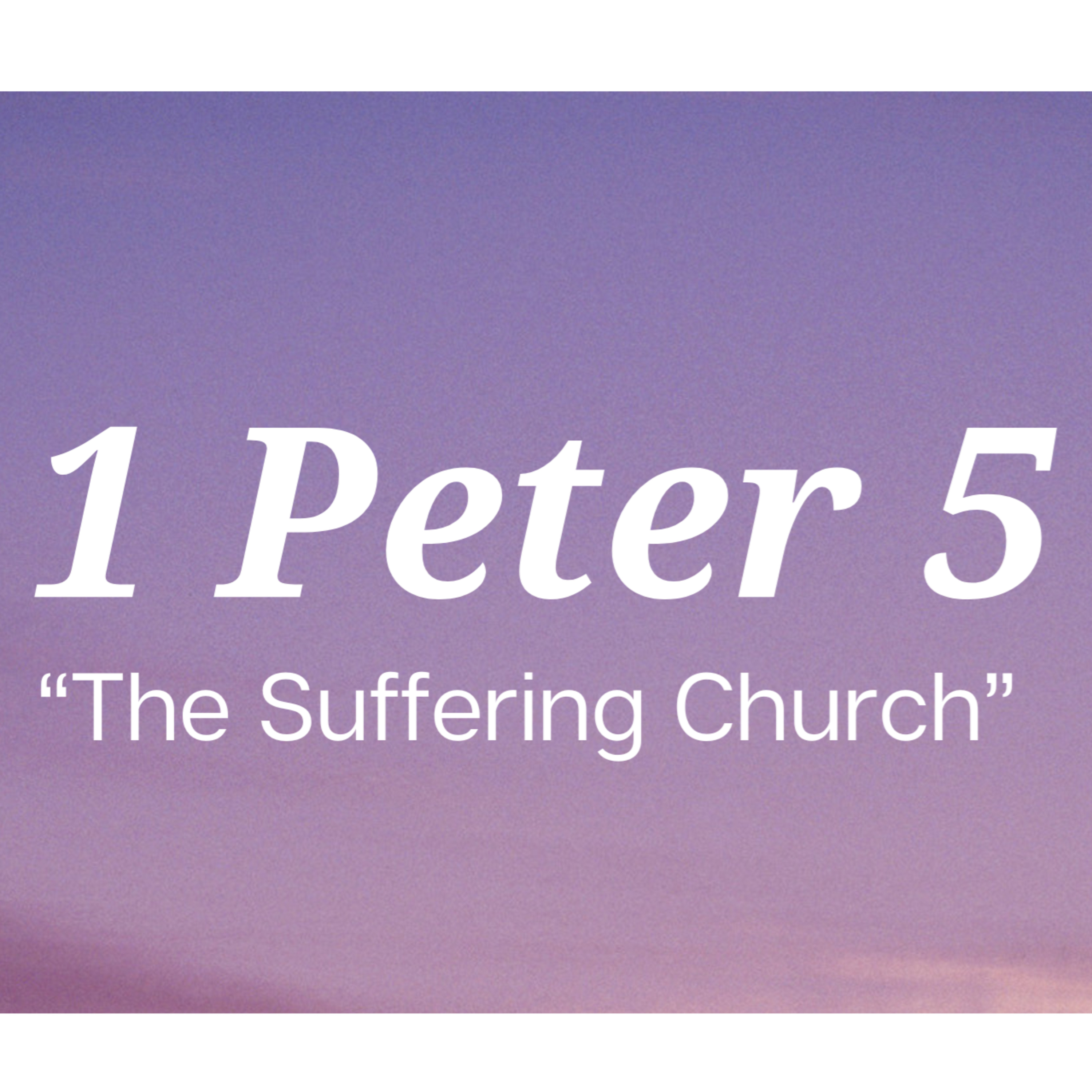 1 Peter 5 | "The Suffering Church" | November 12, 2023 episode artwork
