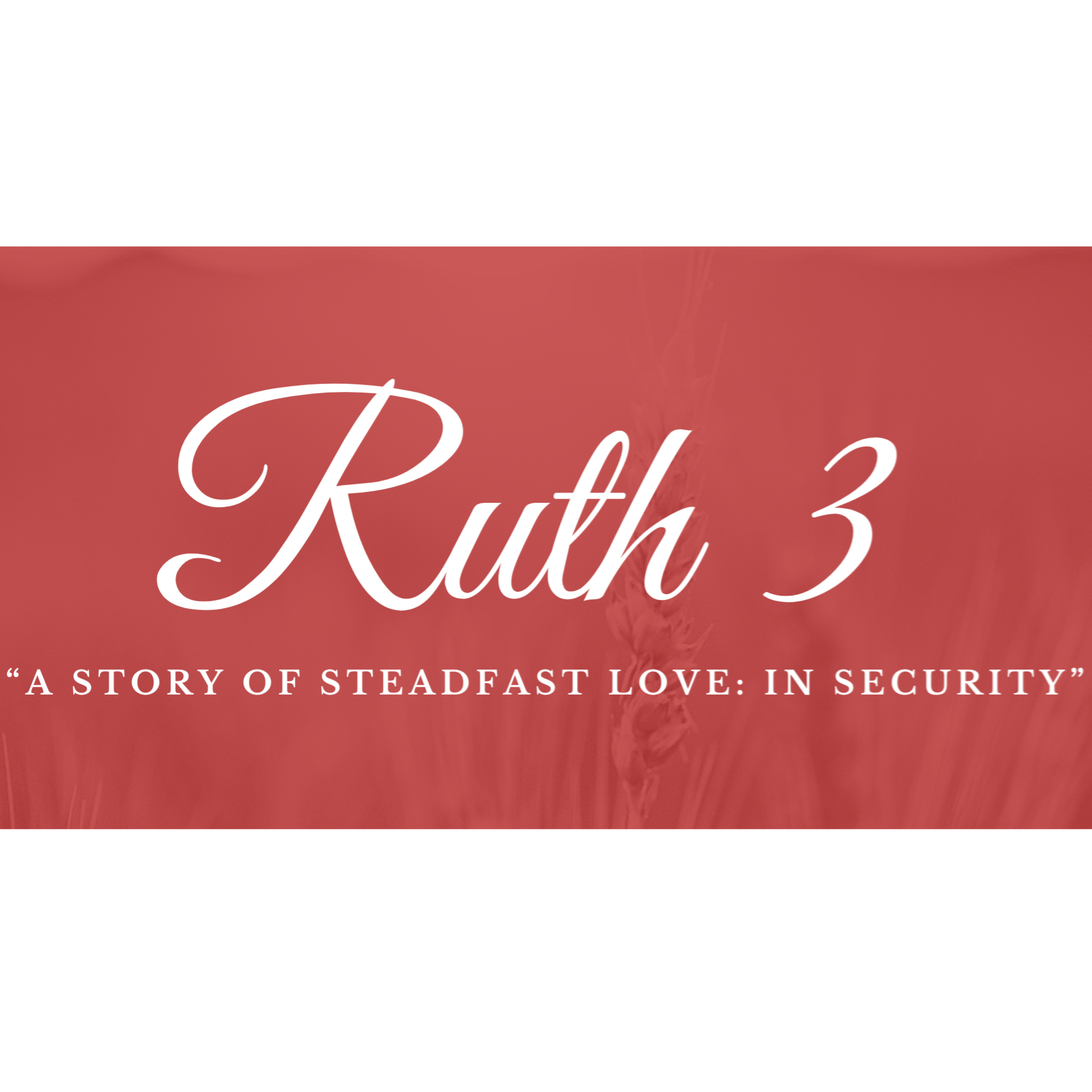 Ruth 3 | "In Security" | December 17, 2023 episode artwork