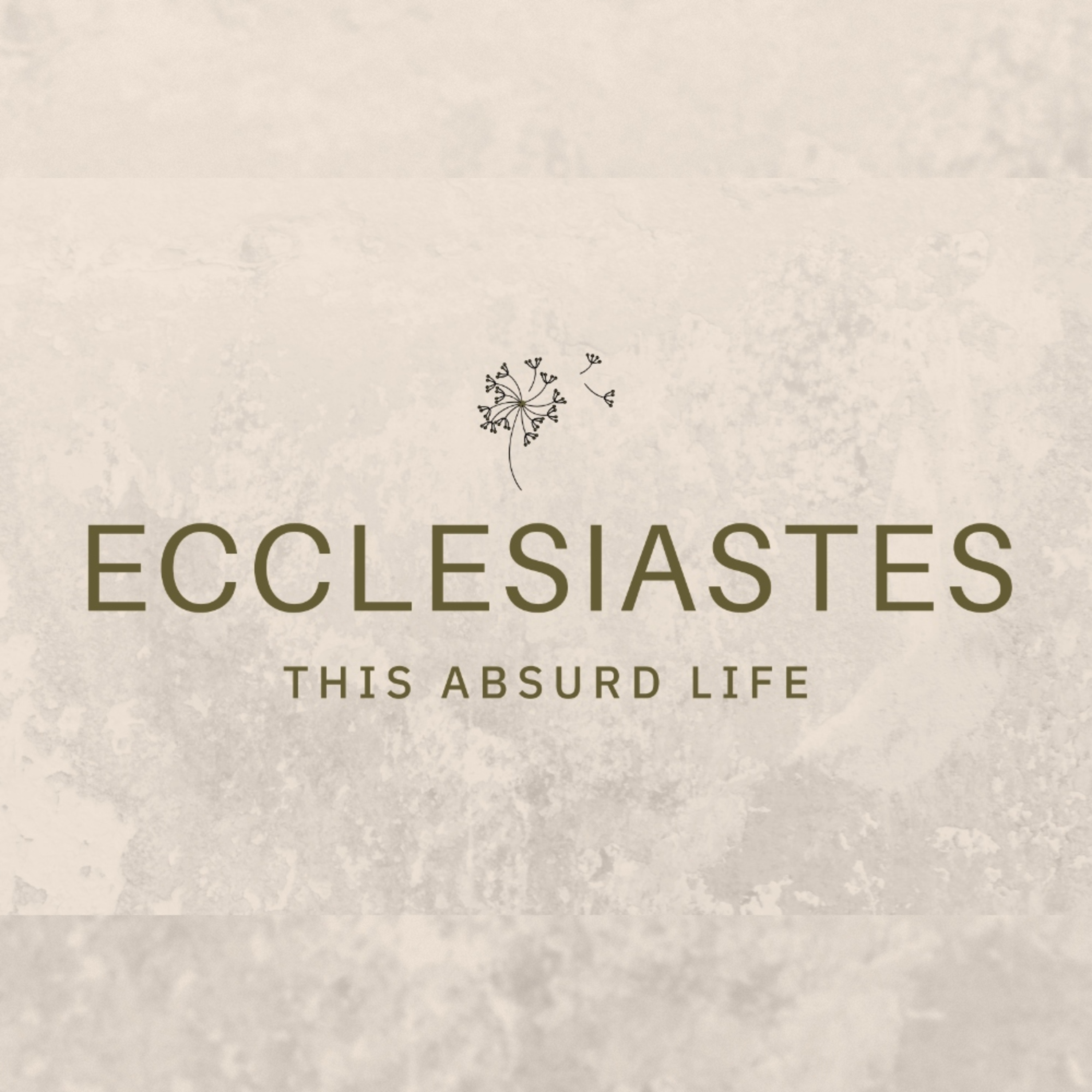 Ecclesiastes 1:12-2:3 | "Word to the Wise" | January 11, 2026 episode artwork