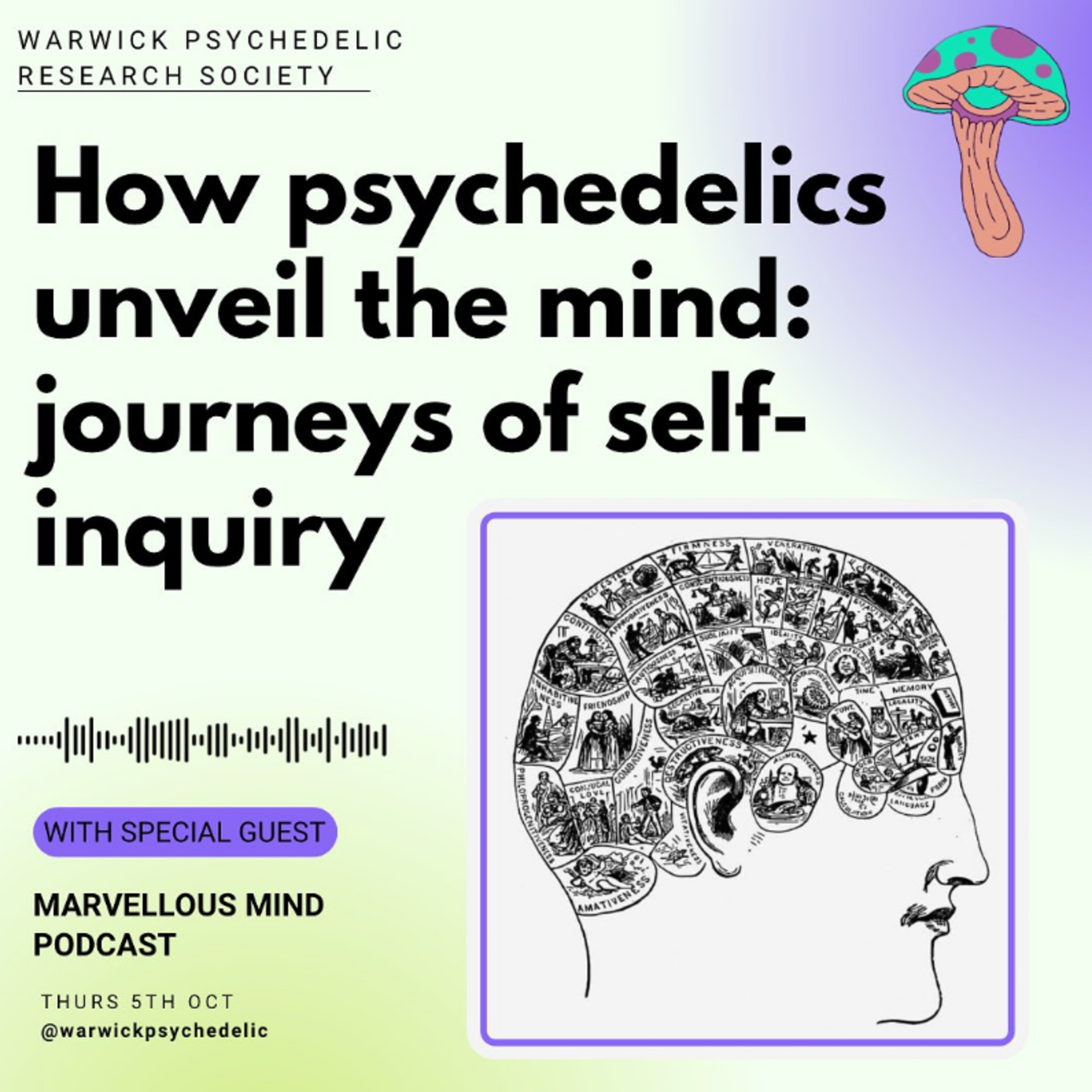 How psychedelics unveil the mind w/ Kara @warwickpsychedelic  episode artwork
