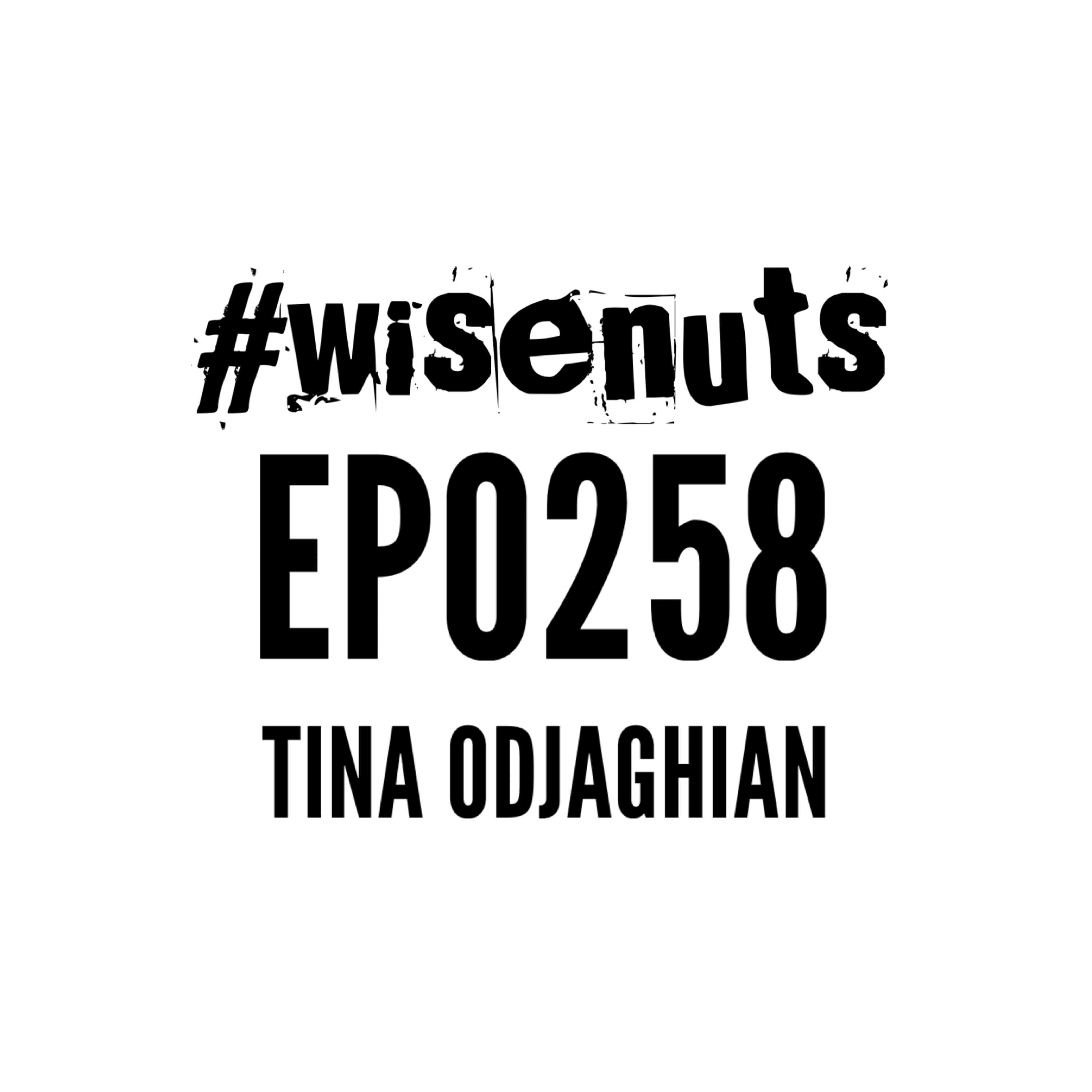WiseNuts Podcast
