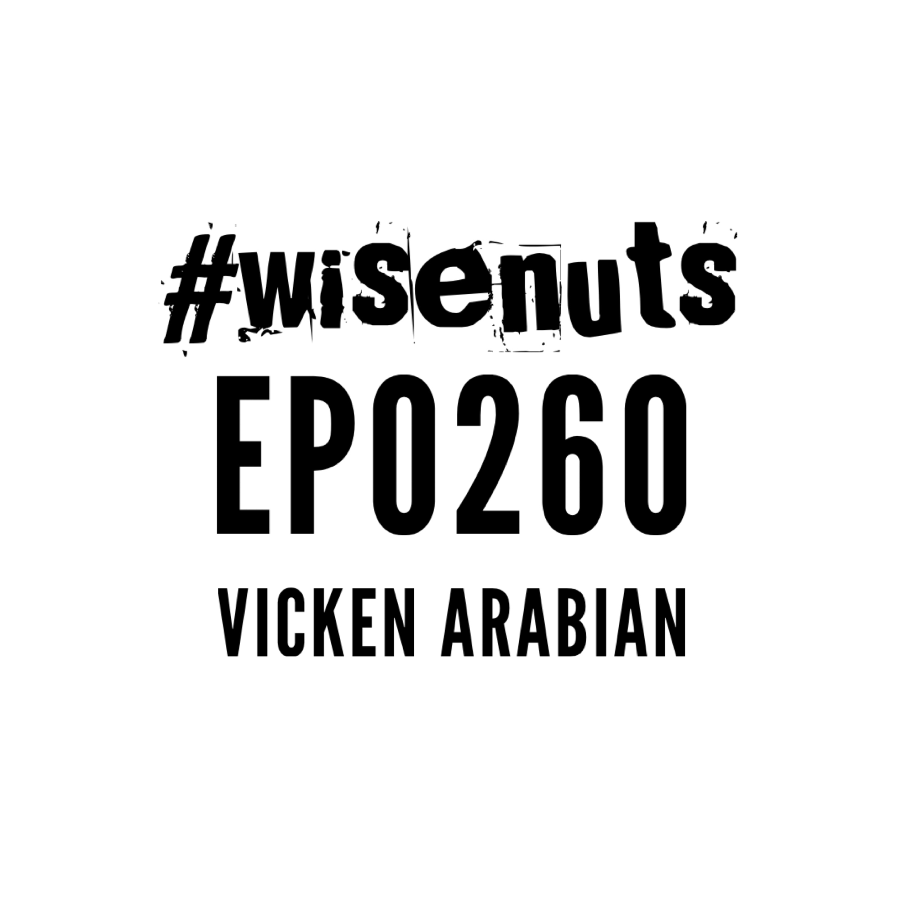 WiseNuts Podcast