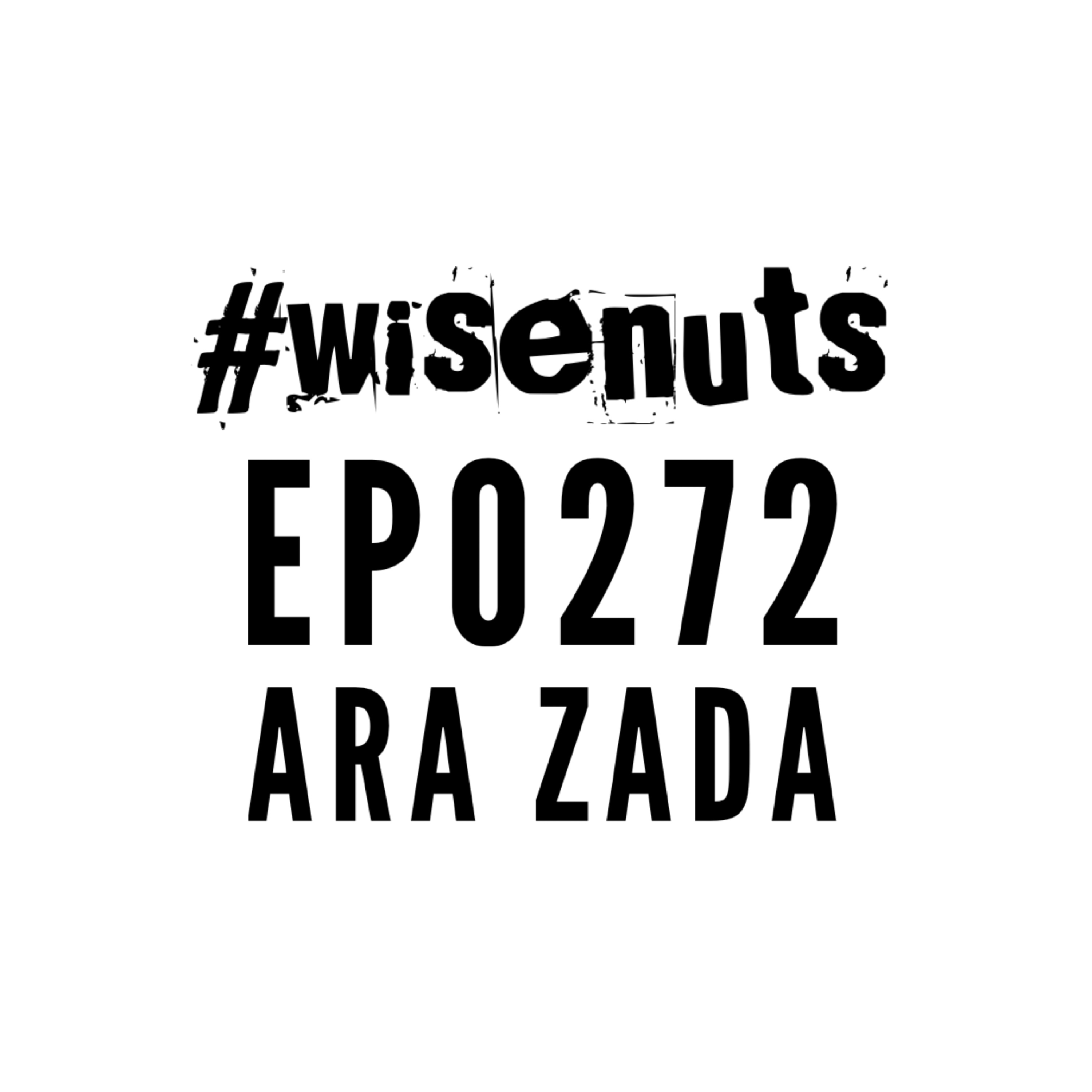 WiseNuts Podcast
