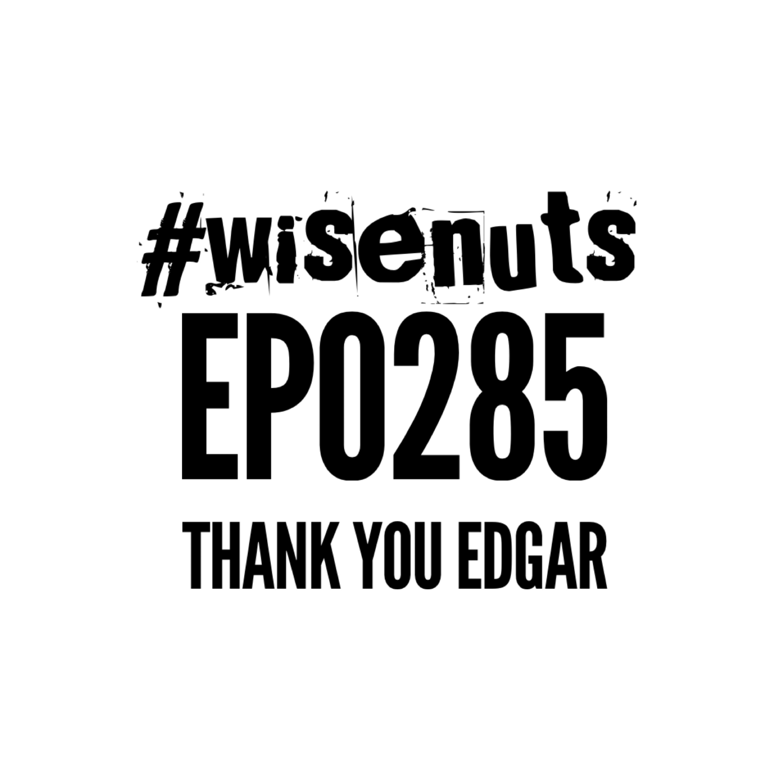 WiseNuts Podcast