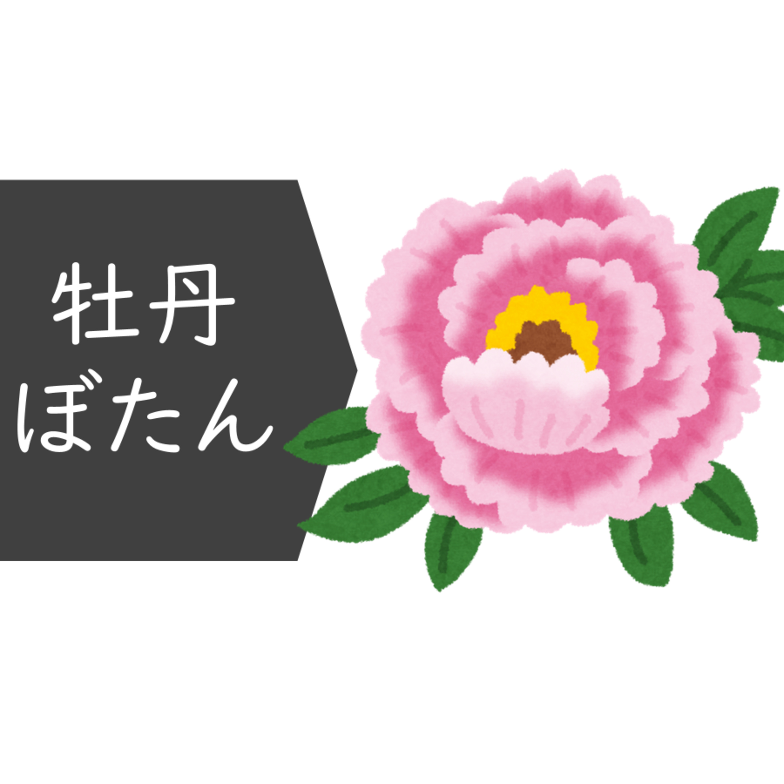 #81_雪（ゆき）と冬（ふゆ）の日本語（にほんご） episode artwork