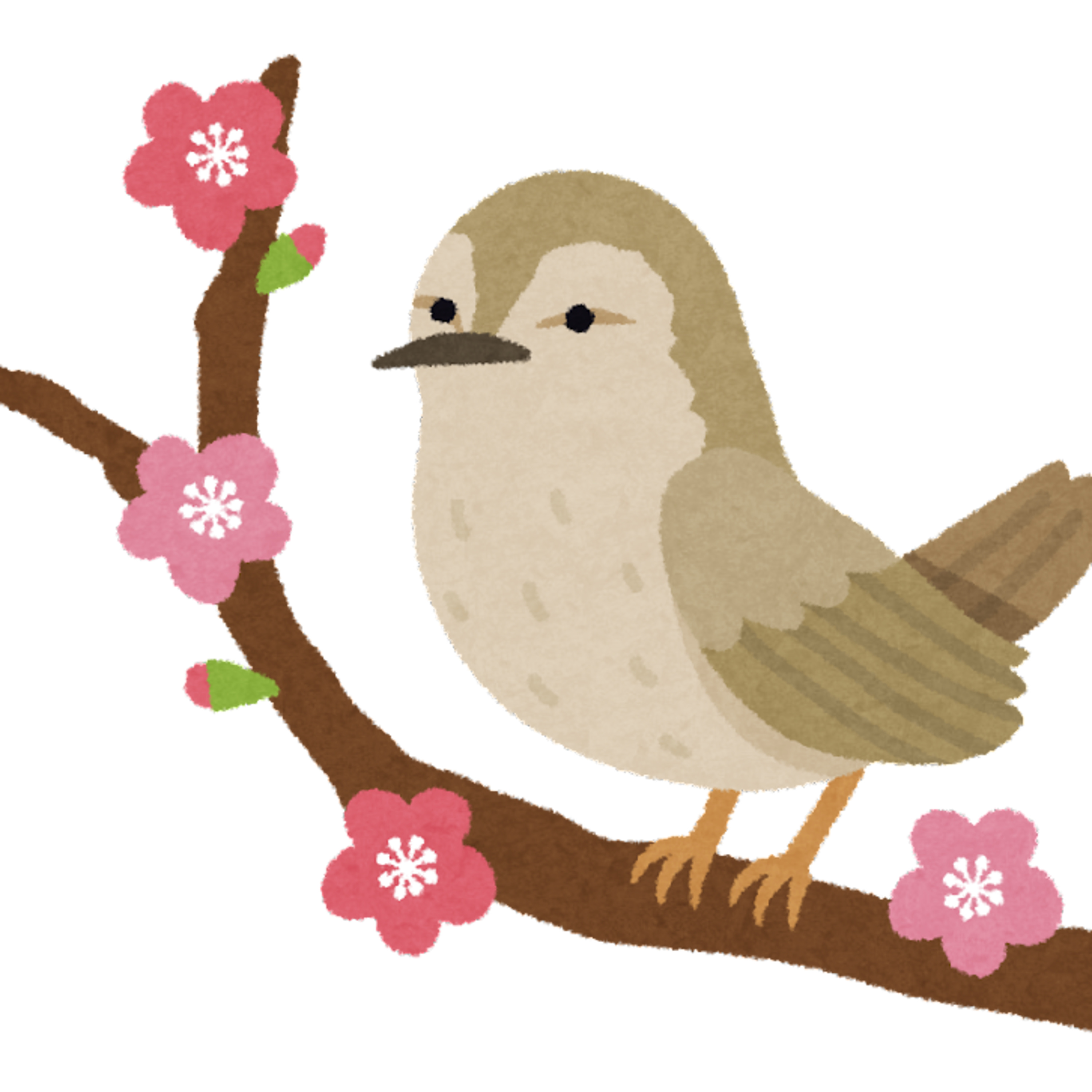 #82_春の鳥（はるのとり） episode artwork