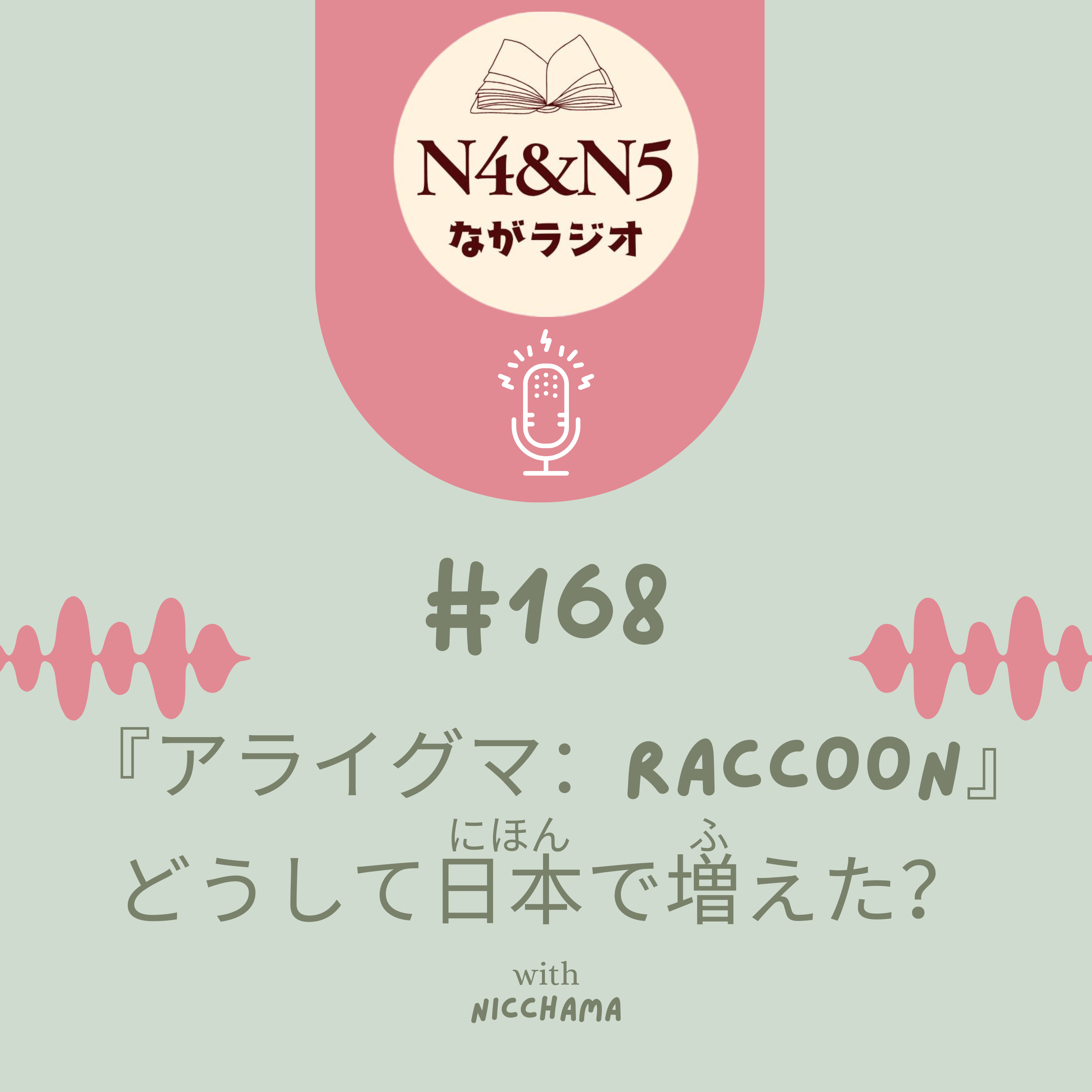 #168_『アライグマ：Raccoon』どうして日本で増（ふ）えた？