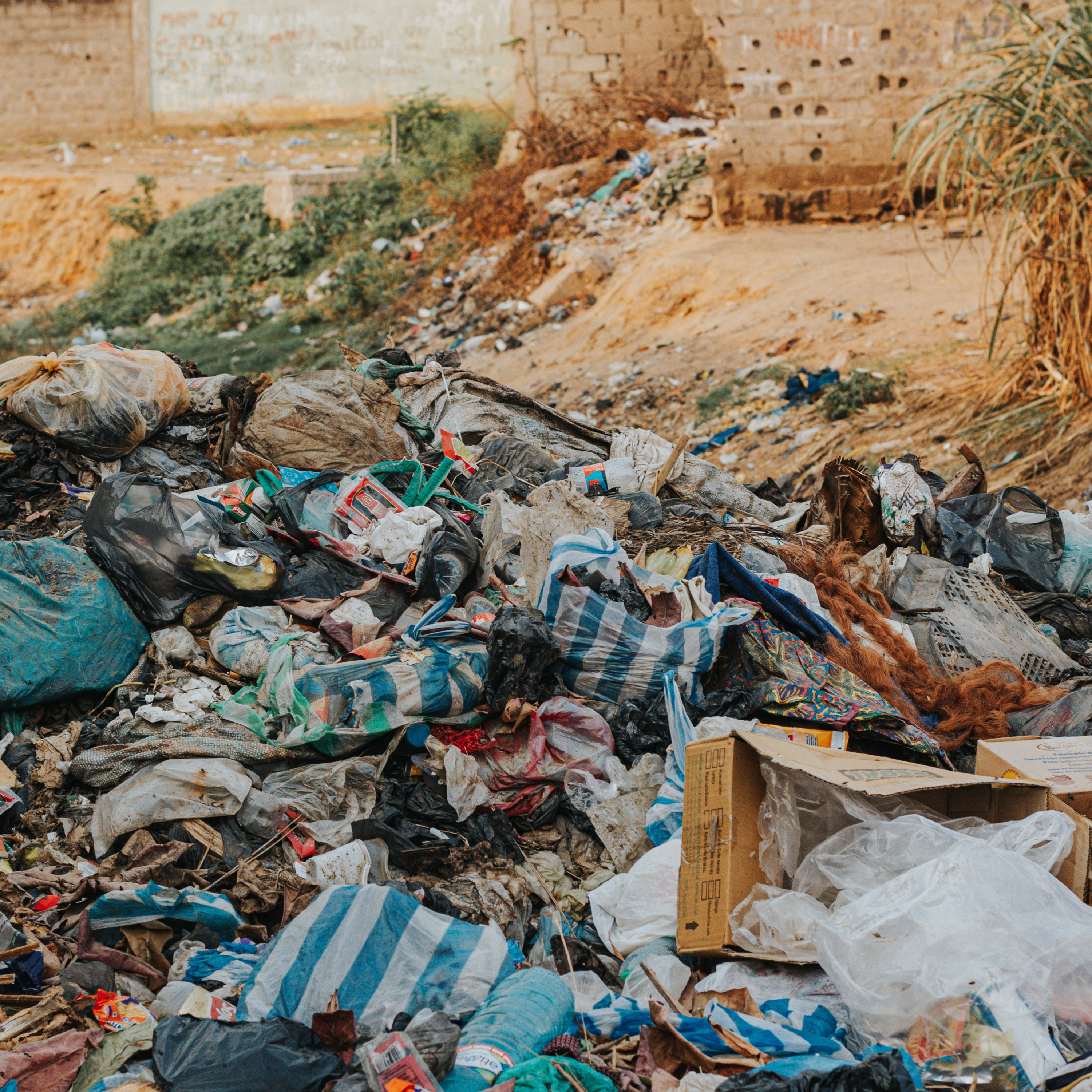 A Culture of Filth