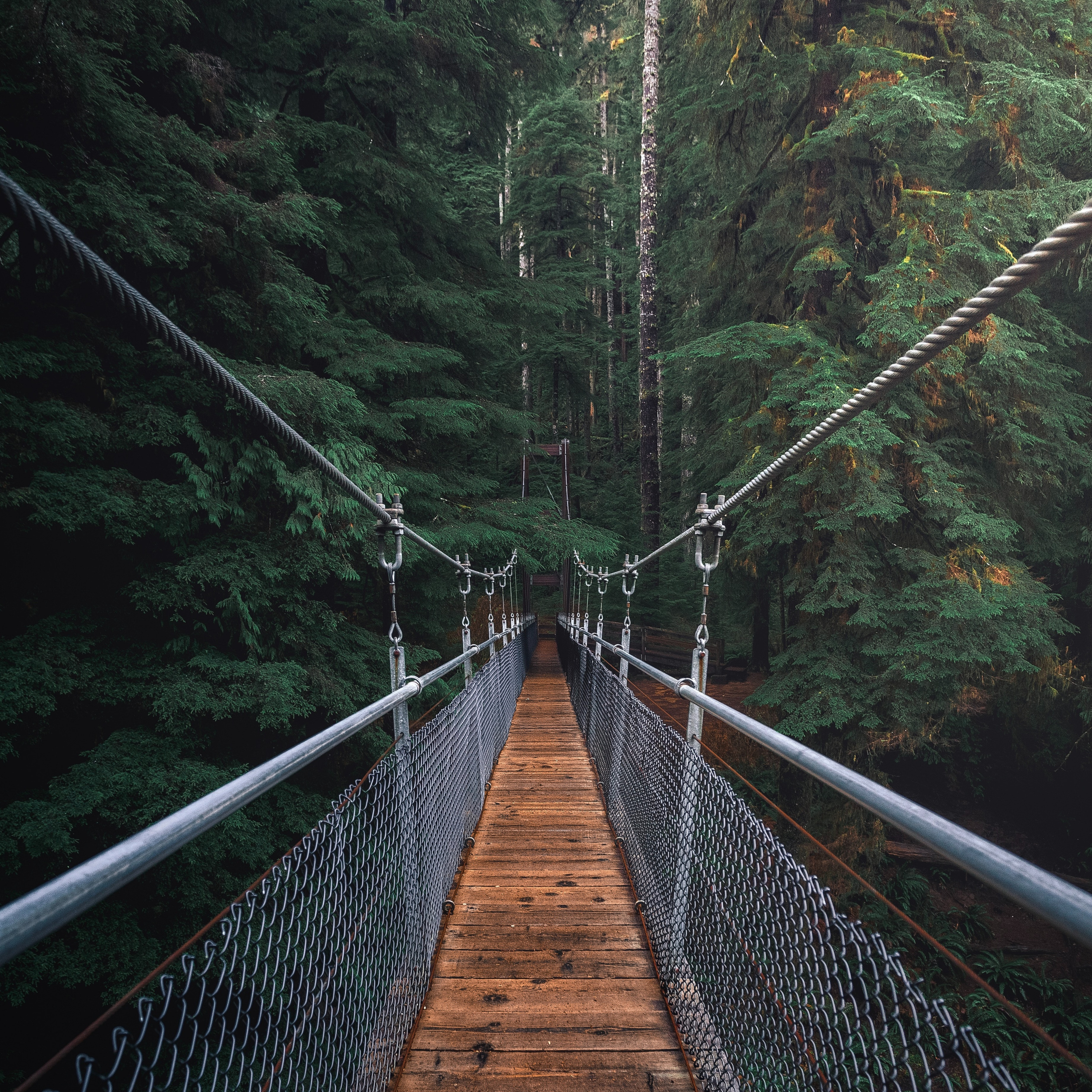 Green Skills for Youth Paving the Path to Sustainability