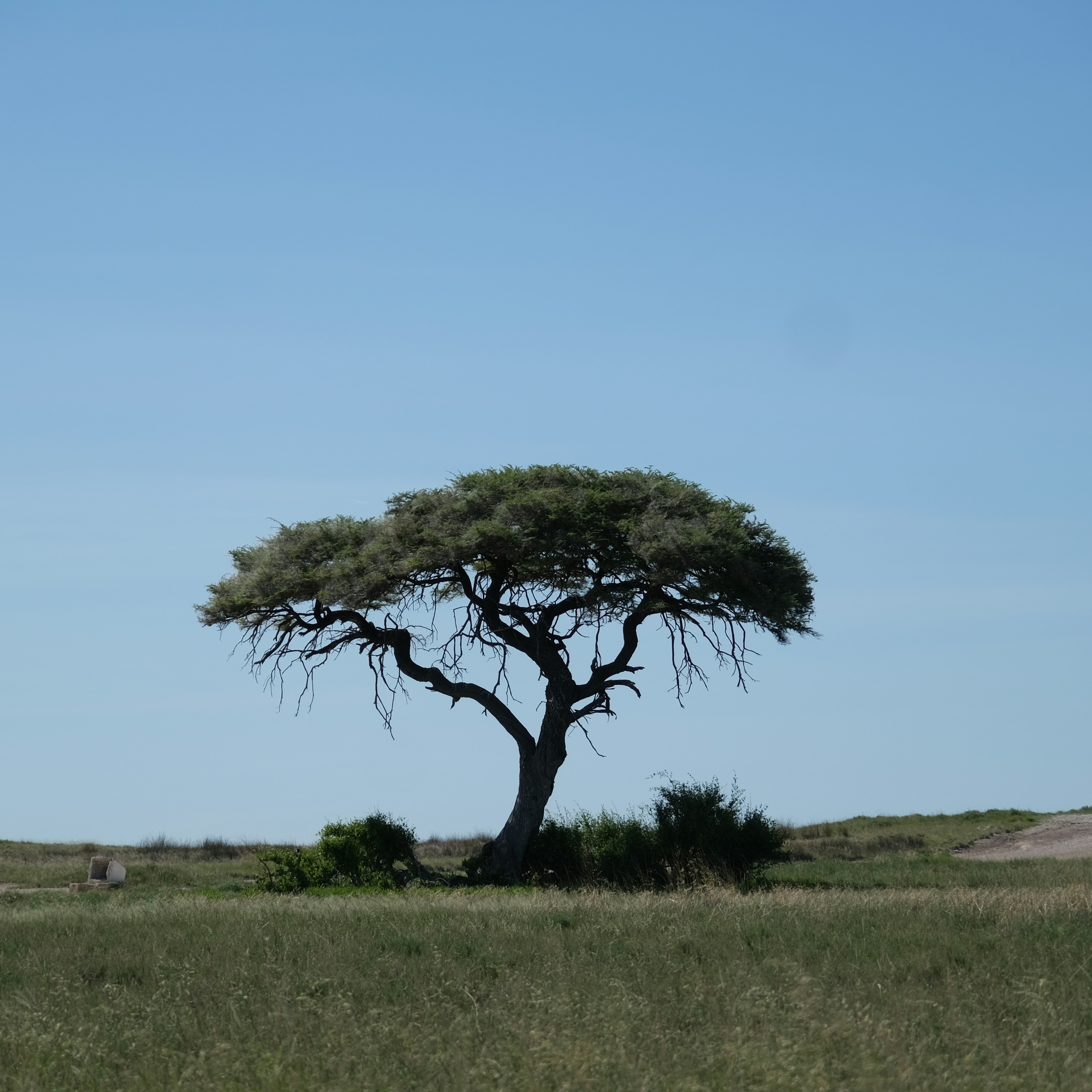 Lesson 6: Environmental Stewardship