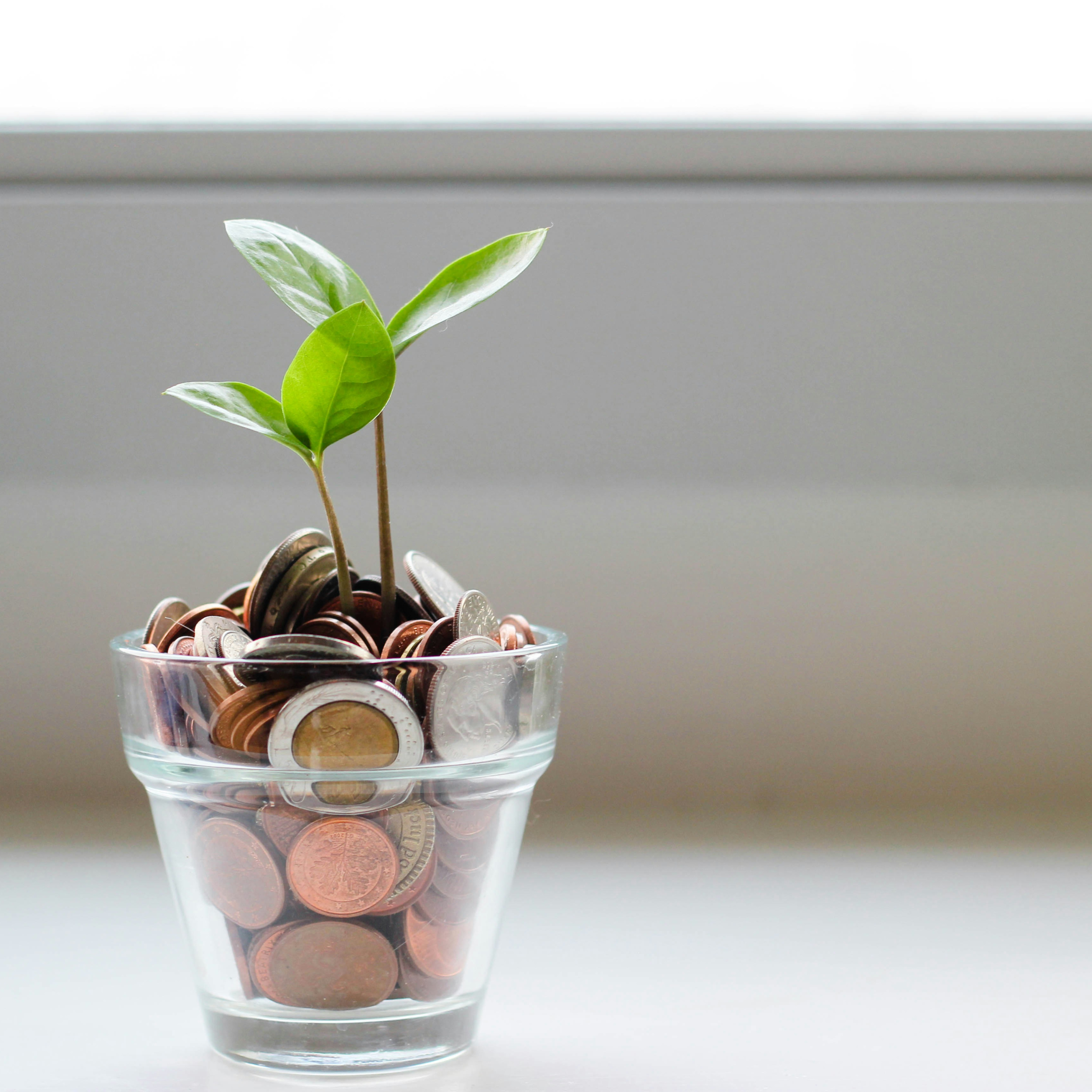 Lesson 8: Financial Literacy