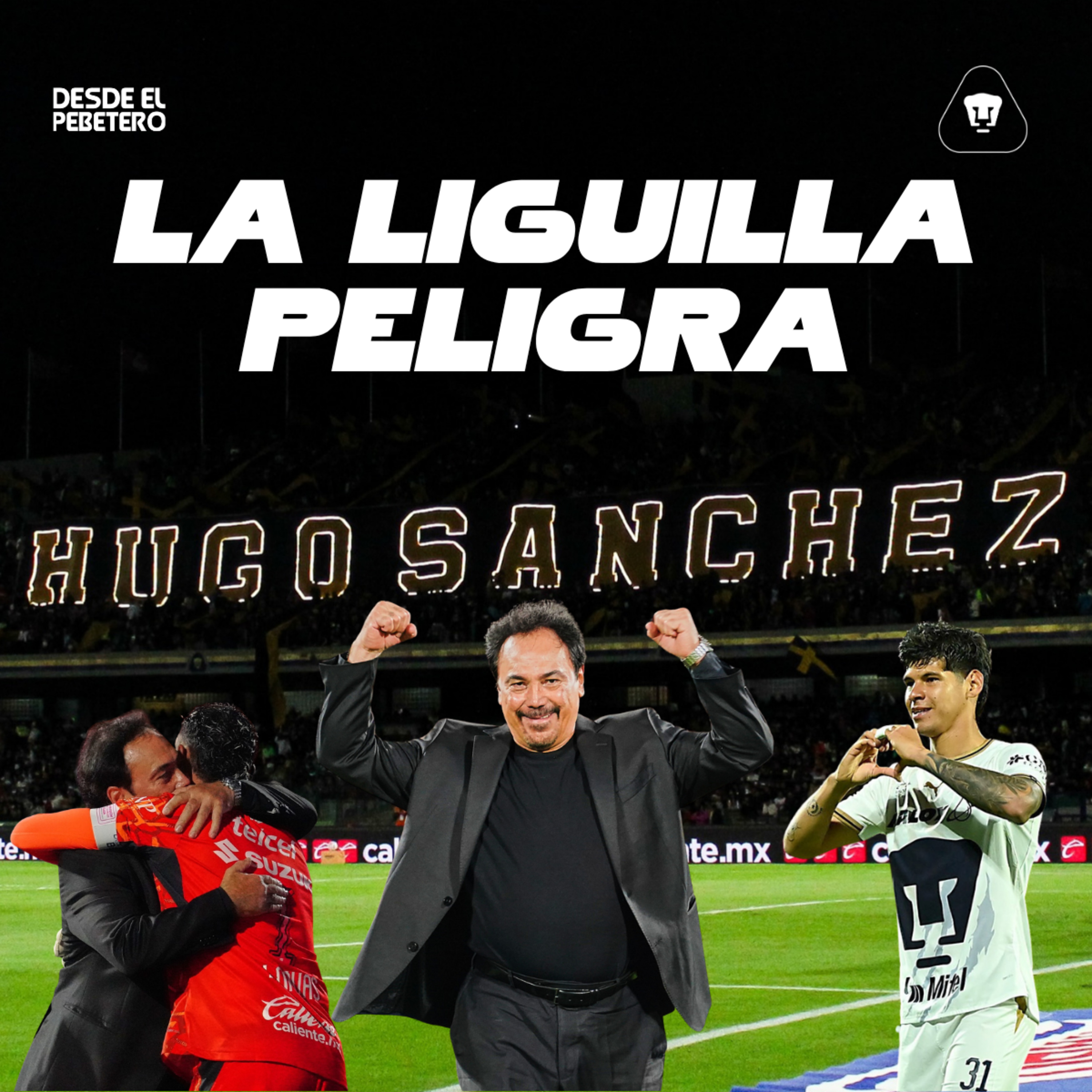 Portada de Desde el Pebetero