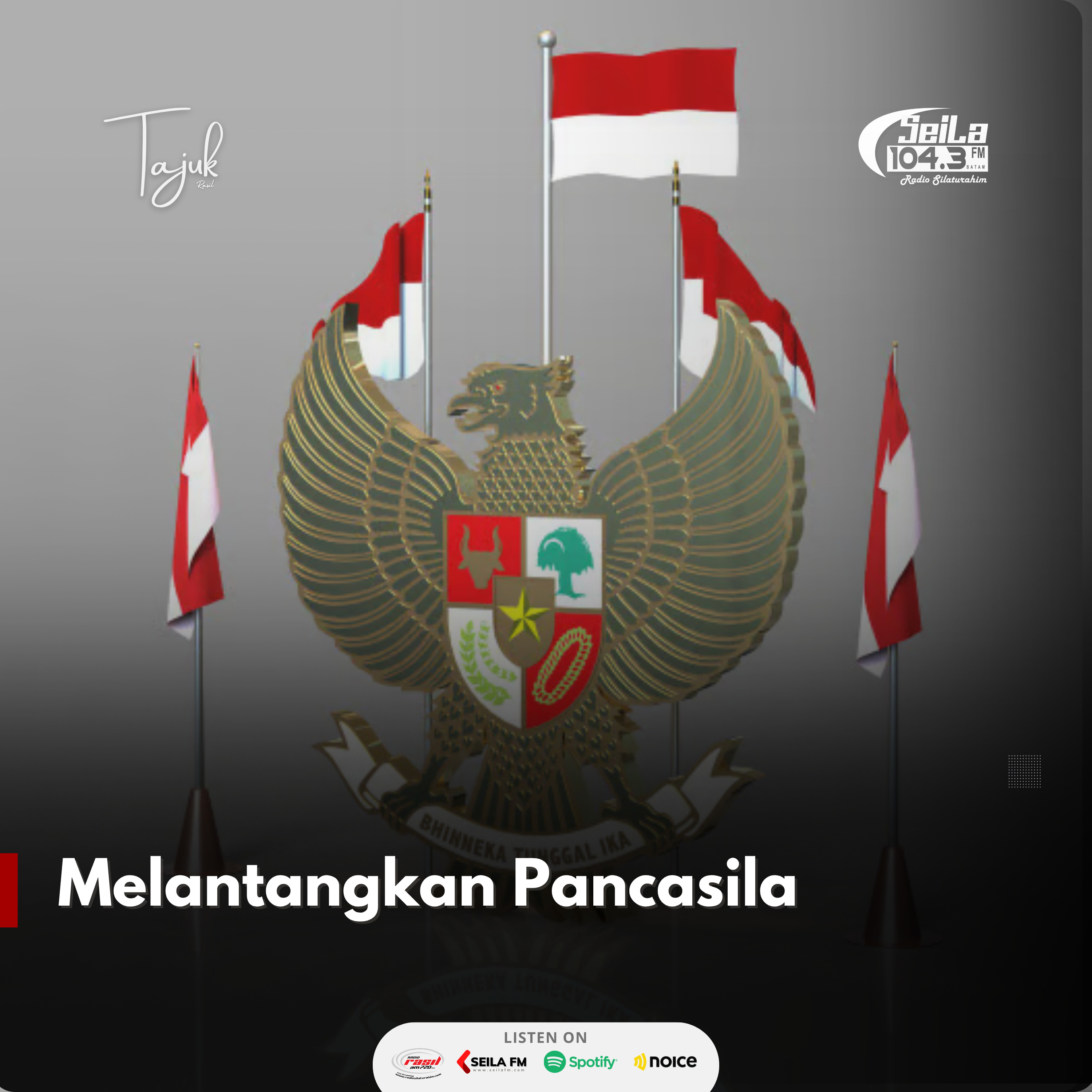 Radio Seila FM