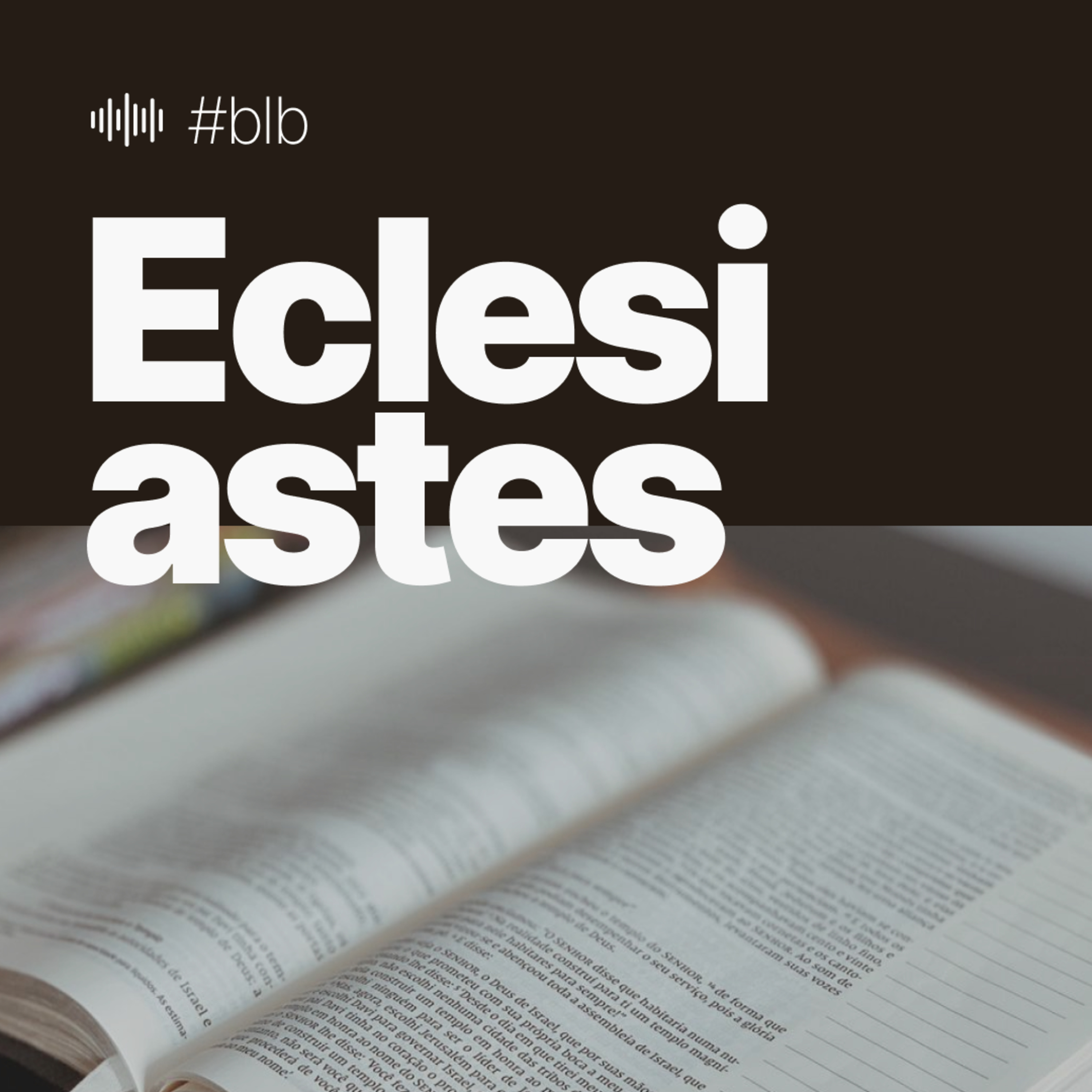 #164 Eclesiastes 11 - O Risco da Fé episode artwork