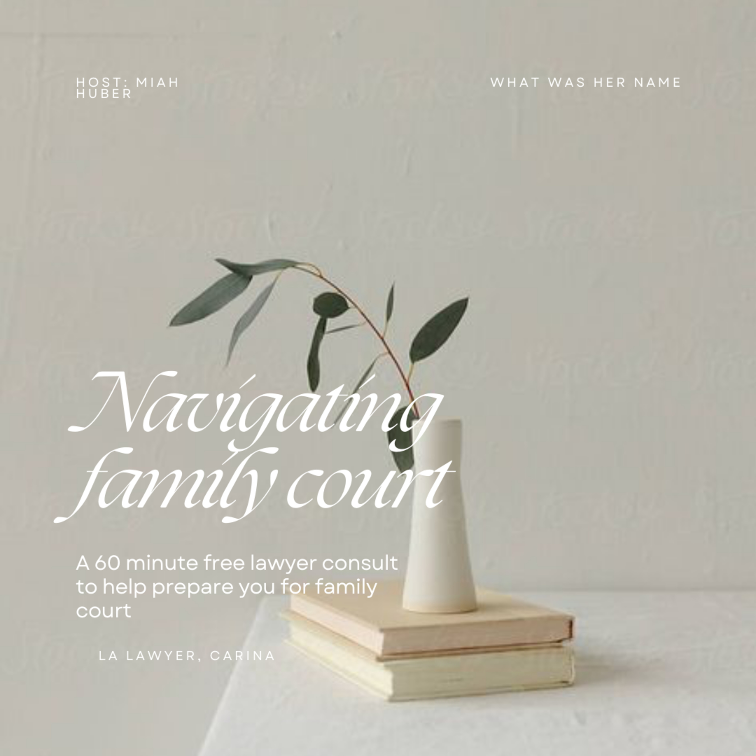 Navigating Family court with a lawyer